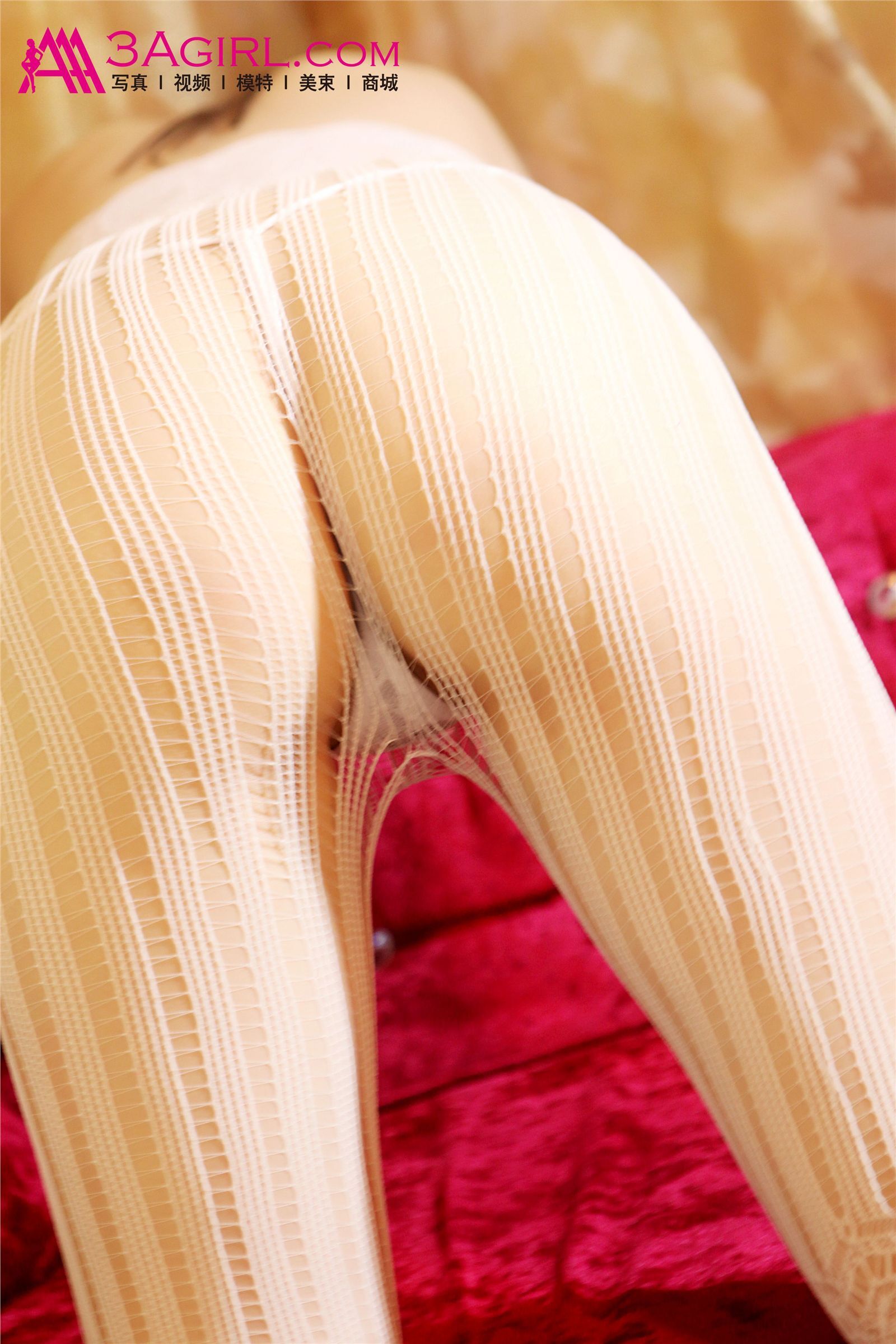 [3Agirl] 2015.11.13 No.509 AAA女郎 丝丝入扣：双双