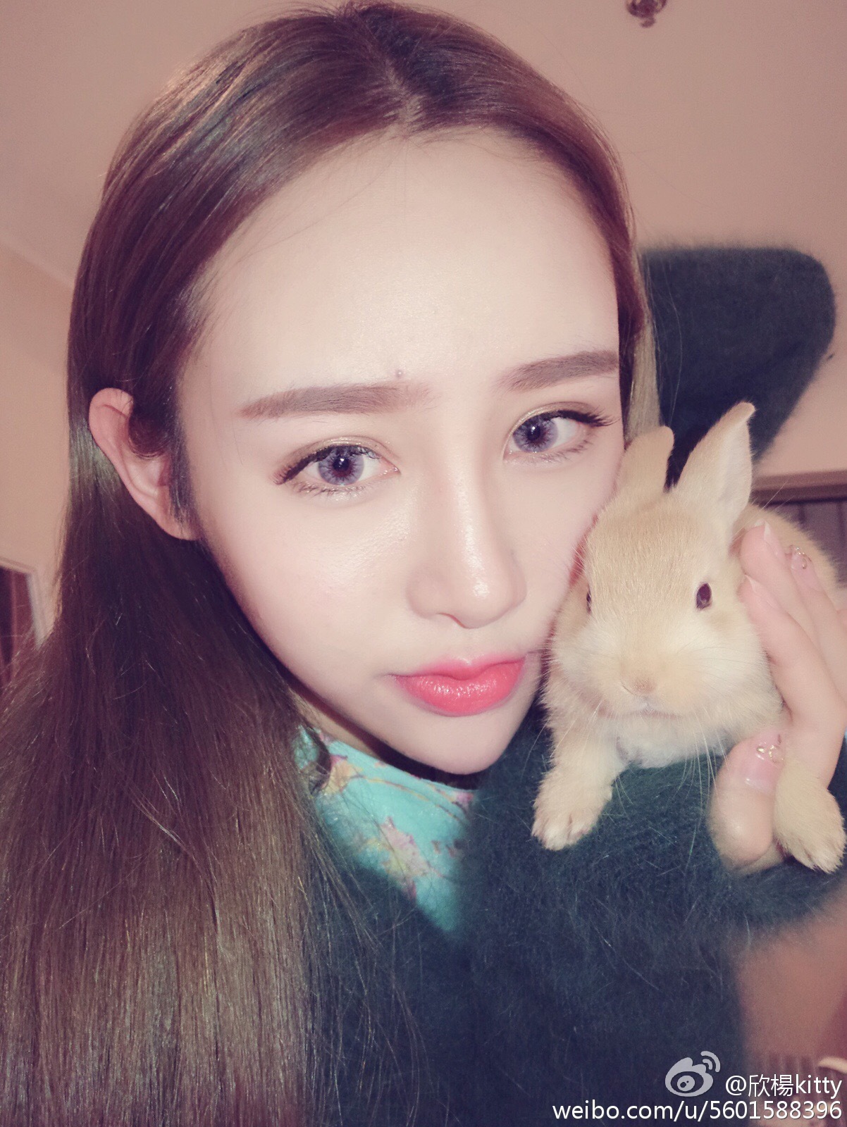 AISS爱丝明星模特欣楊KITTY 爆乳写真