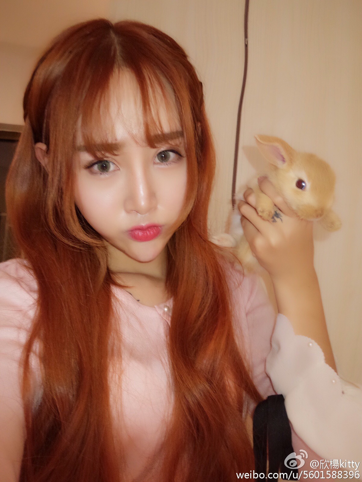 AISS爱丝明星模特欣楊KITTY 爆乳写真