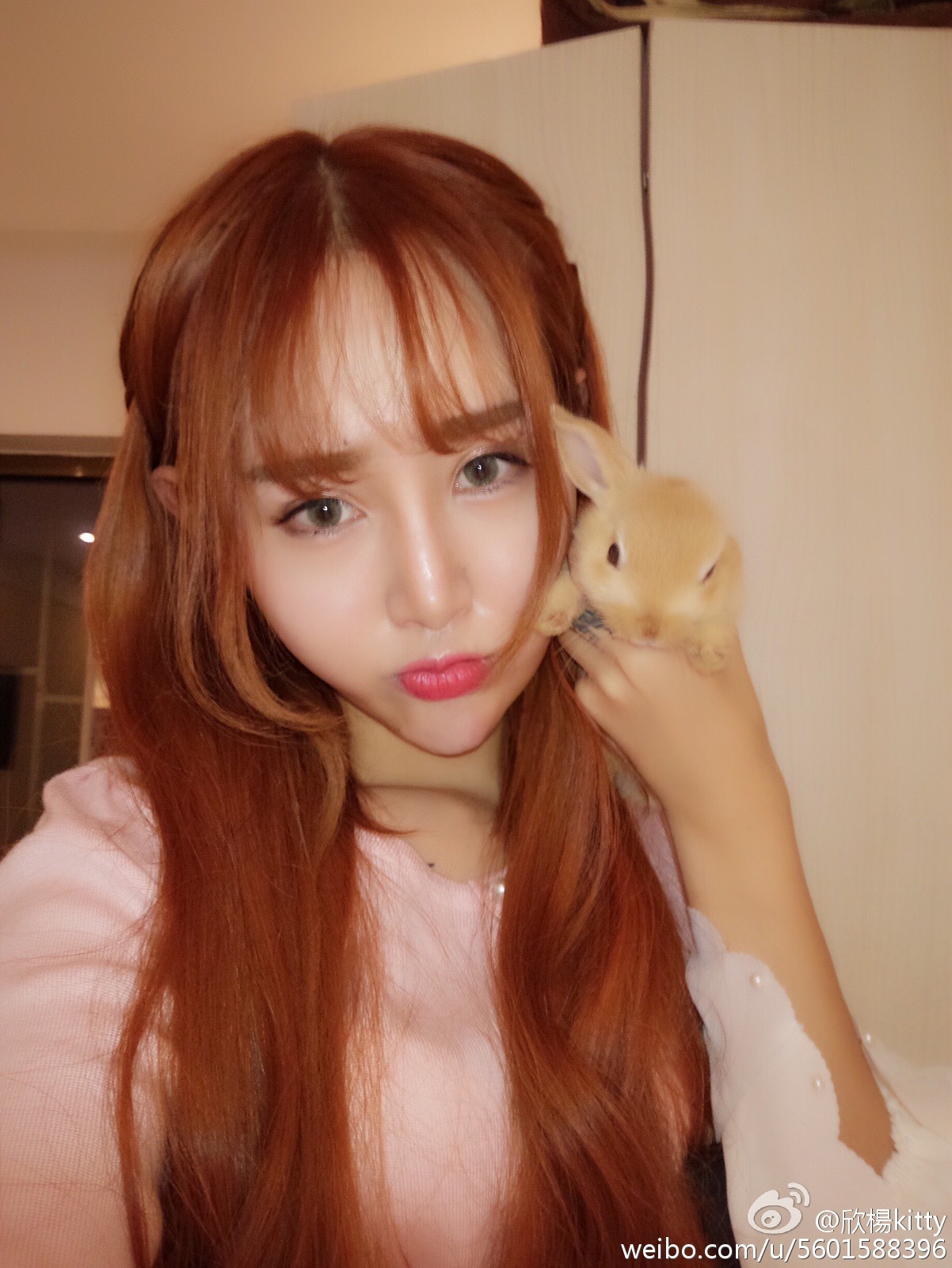 AISS爱丝明星模特欣楊KITTY 爆乳写真