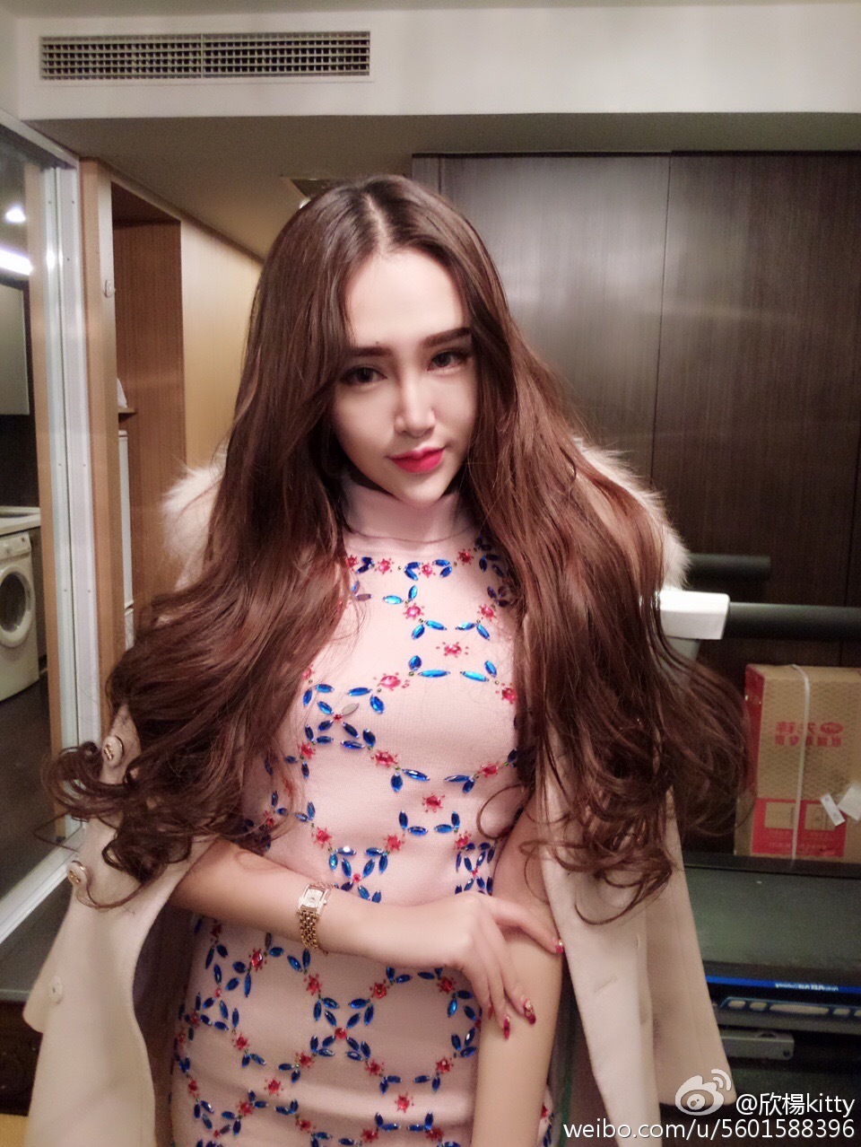 AISS爱丝明星模特欣楊KITTY 爆乳写真