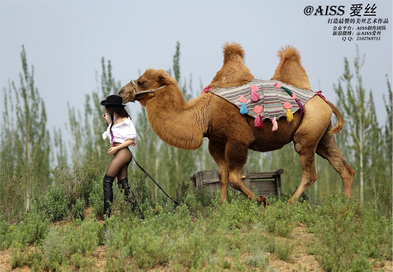 [AISS爱丝] 丝袜美腿外拍 高清原版大图 NO.031 丝绸之路