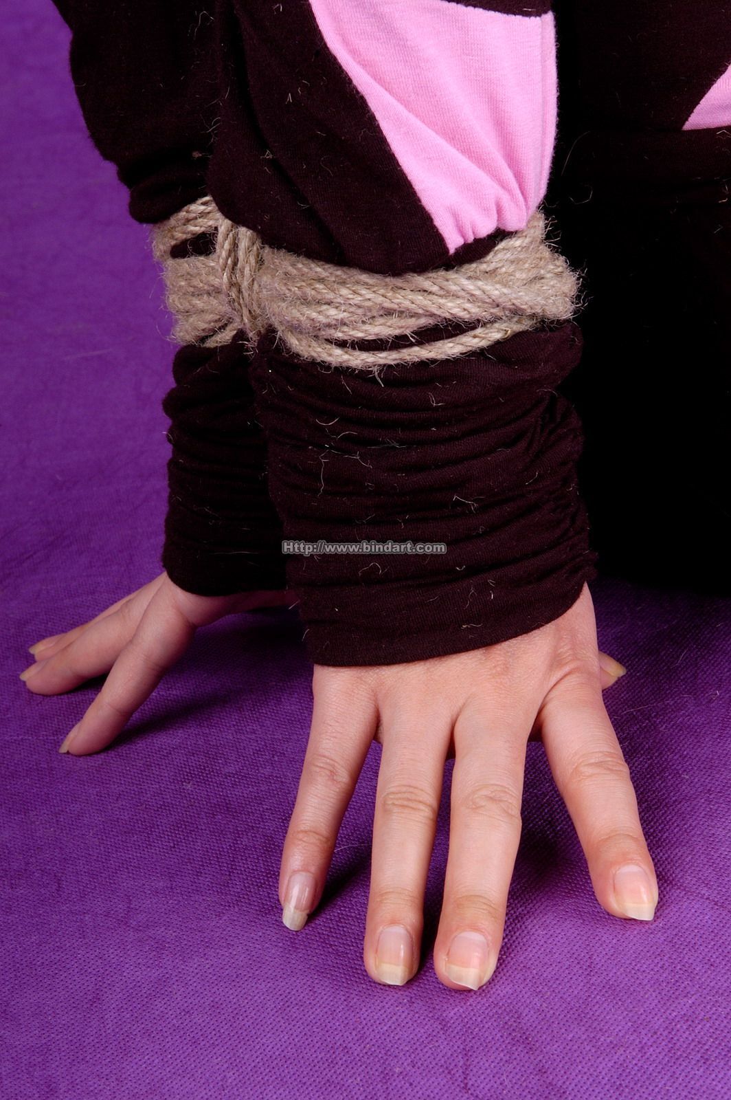 [Bindart美束]捆绑系列美女套图 2005-03-28