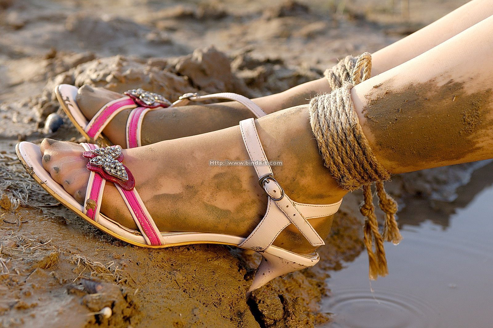 [Bindart美束] 性感捆绑诱惑 2005-08-04