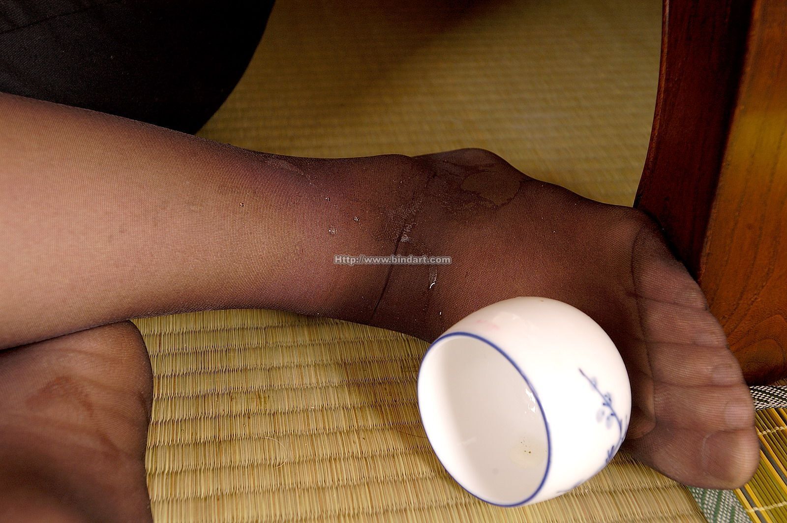 [Bindart美束] 性感捆绑诱惑 2005-08-13