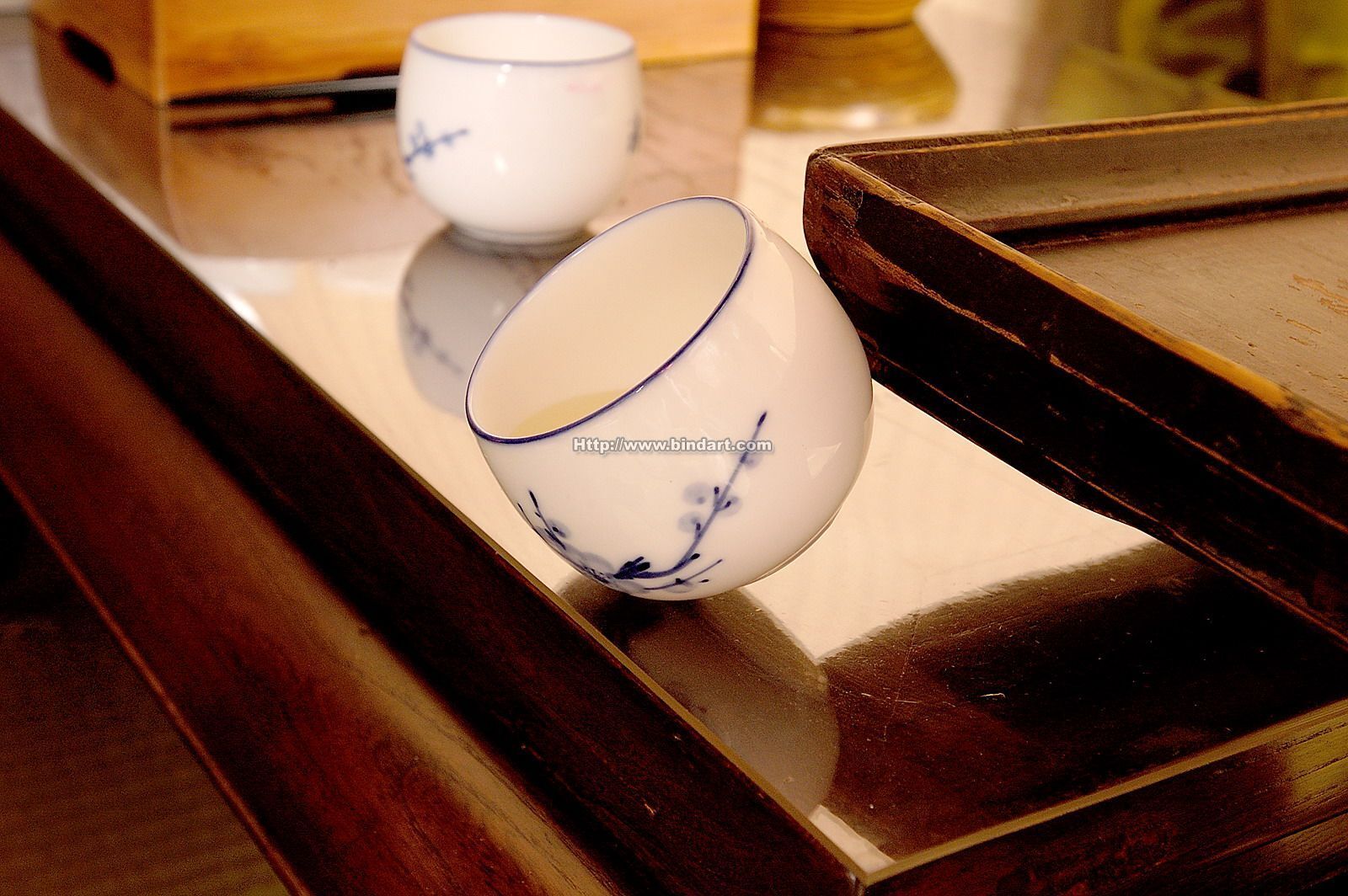 [Bindart美束] 性感捆绑诱惑 2005-08-13