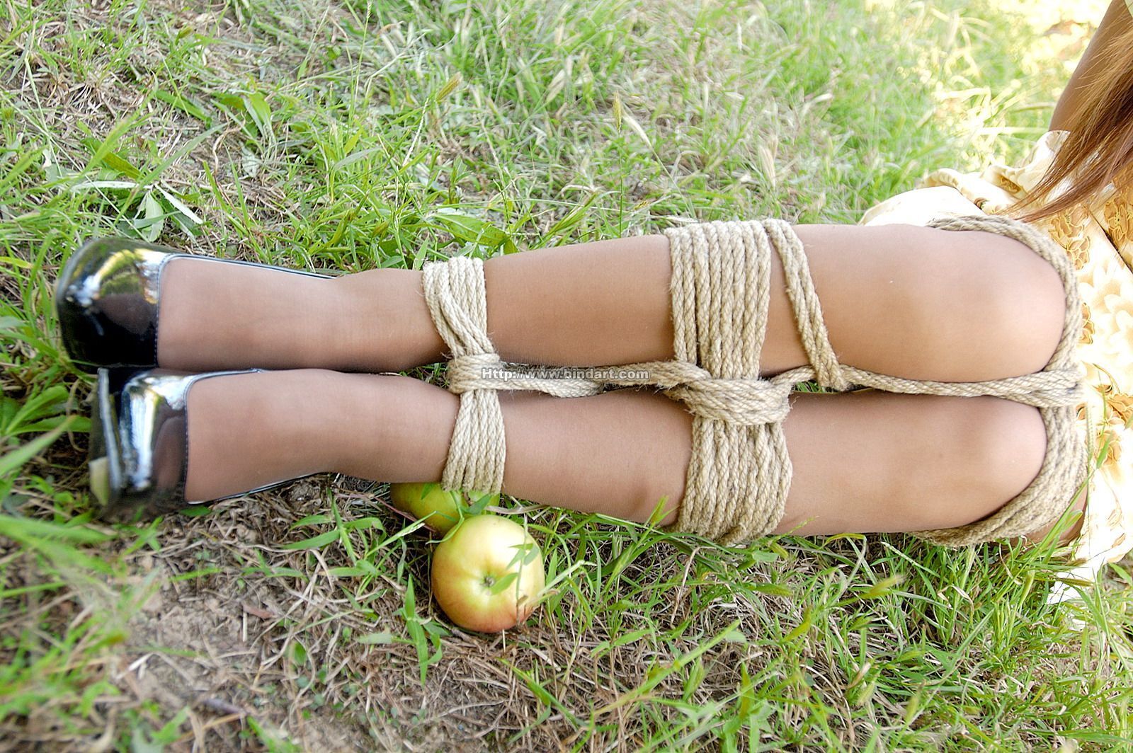 [Bindart美束]　捆绑高清写真2005-10-09