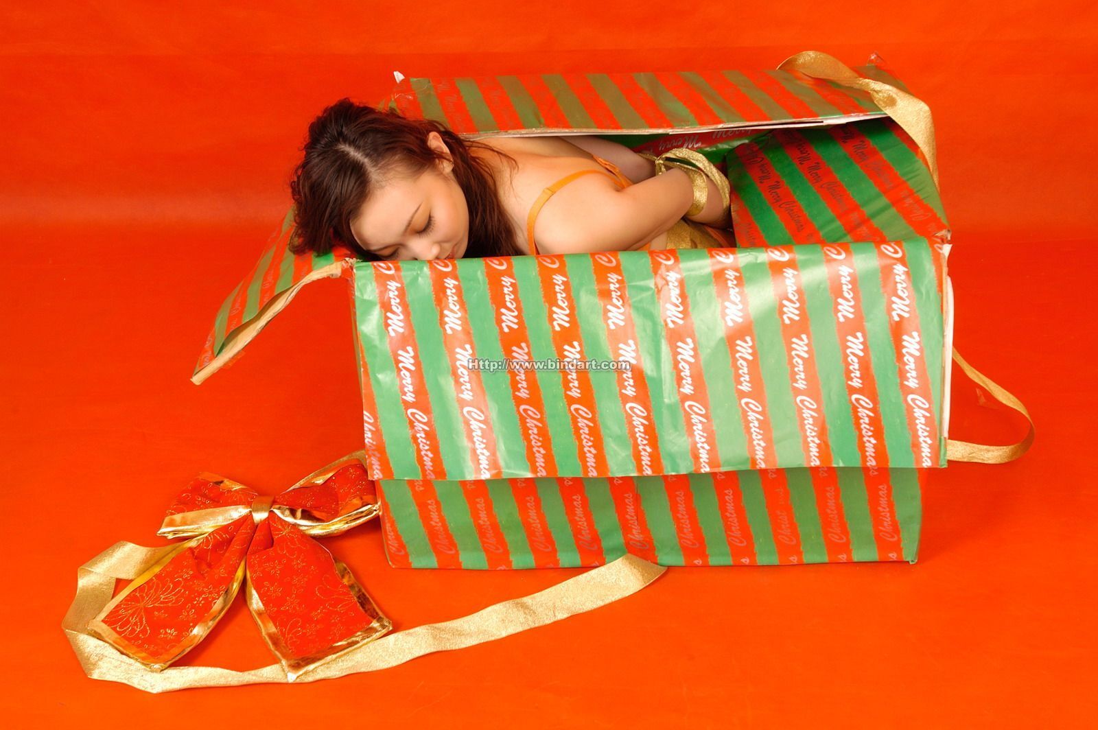 [Bindart美束] 性感高清女郎 2005-12-26