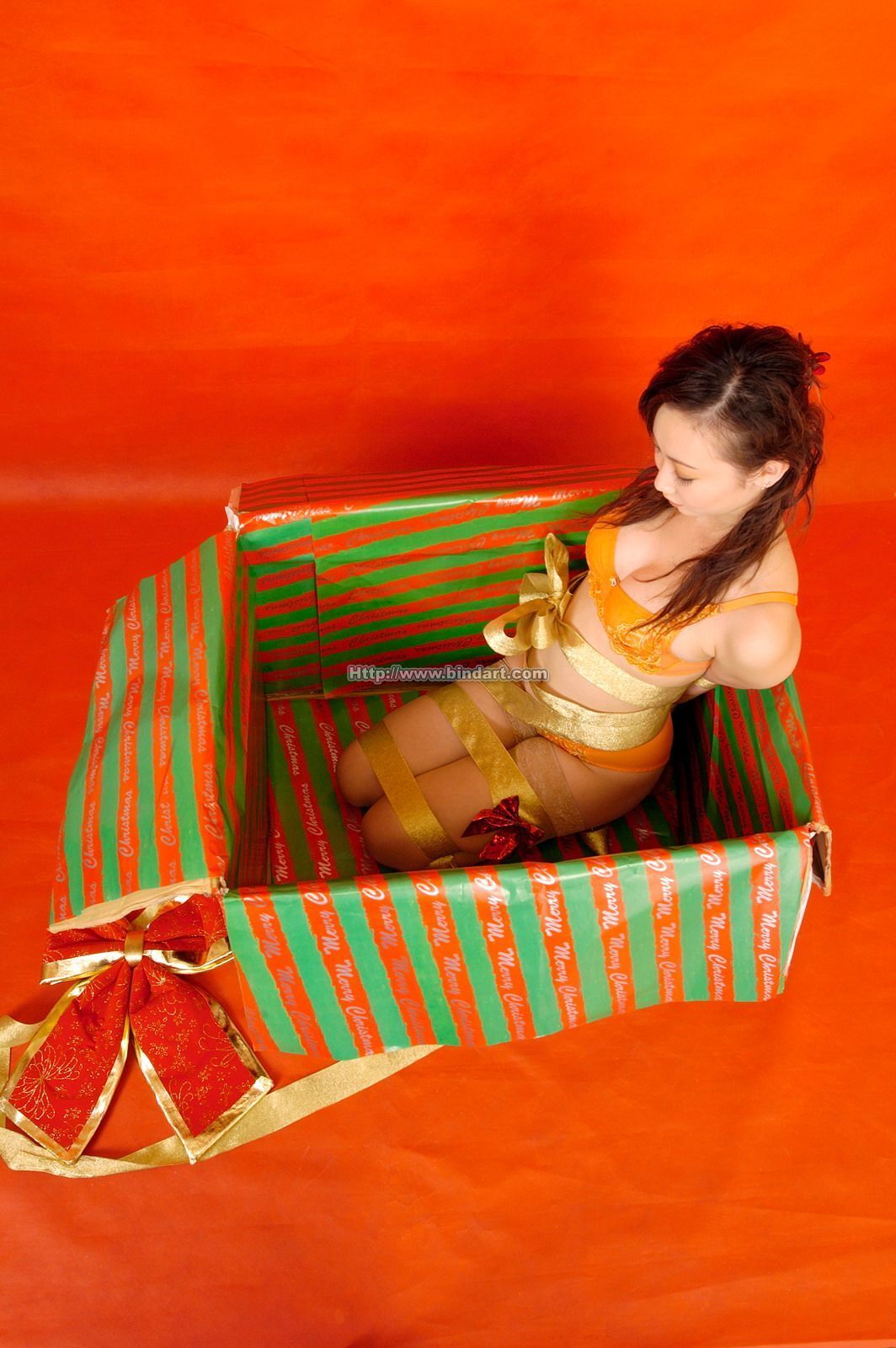 [Bindart美束] 性感高清女郎 2005-12-26