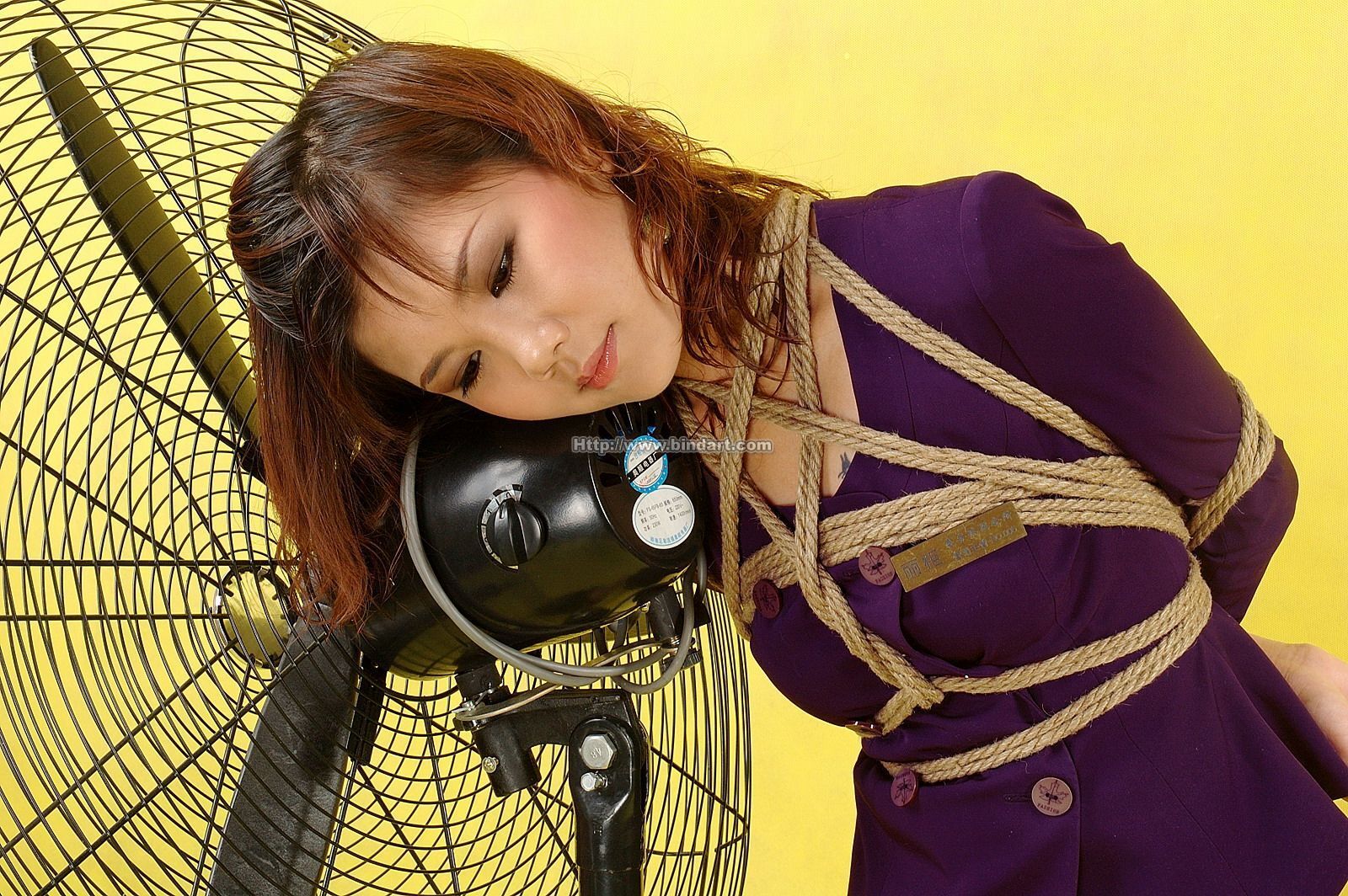 [Bindart美束] 高清捆绑美女写真 2006-08-15