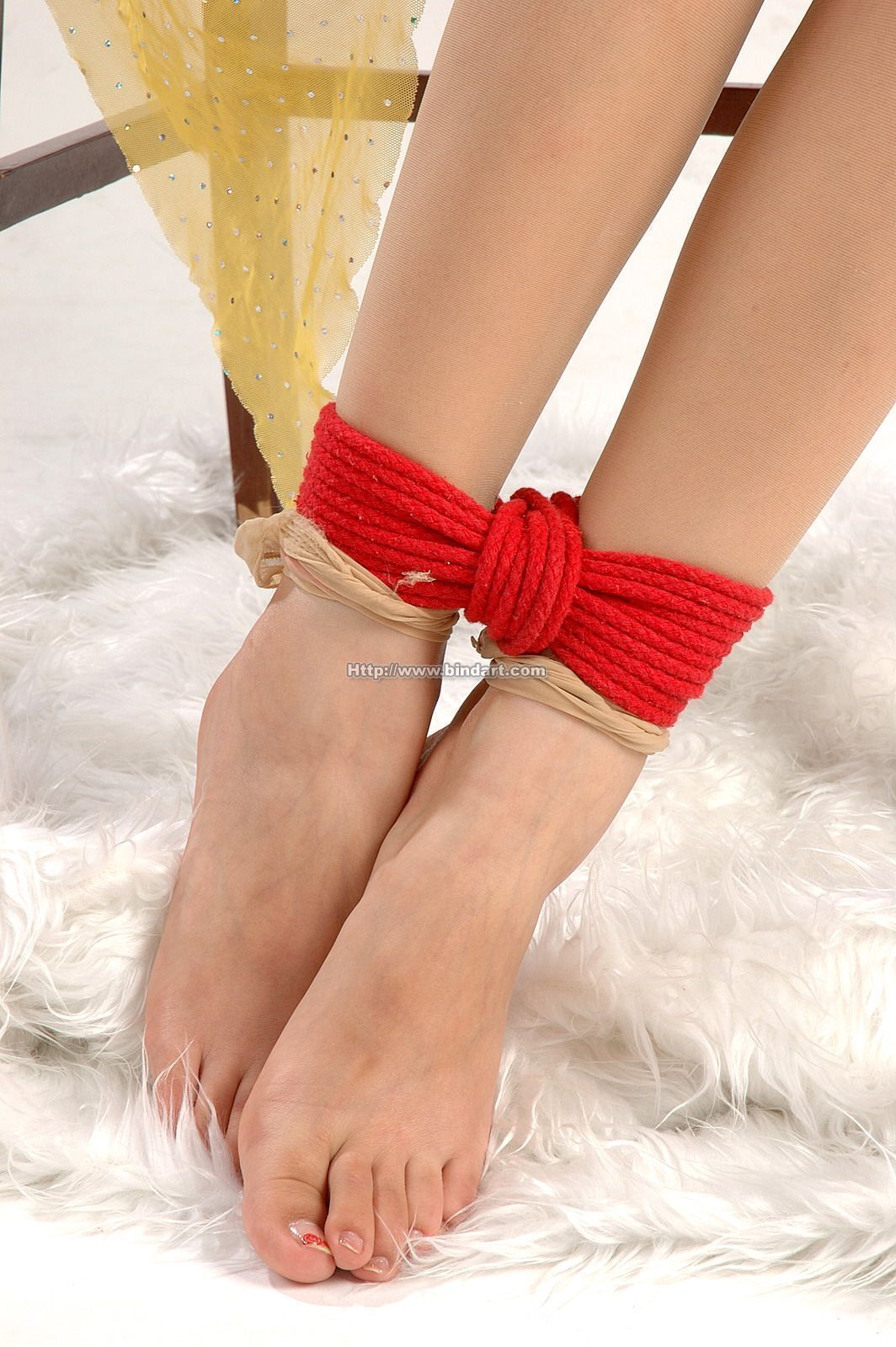 [Bindart美束] 高清捆绑美女写真 2006-09-05