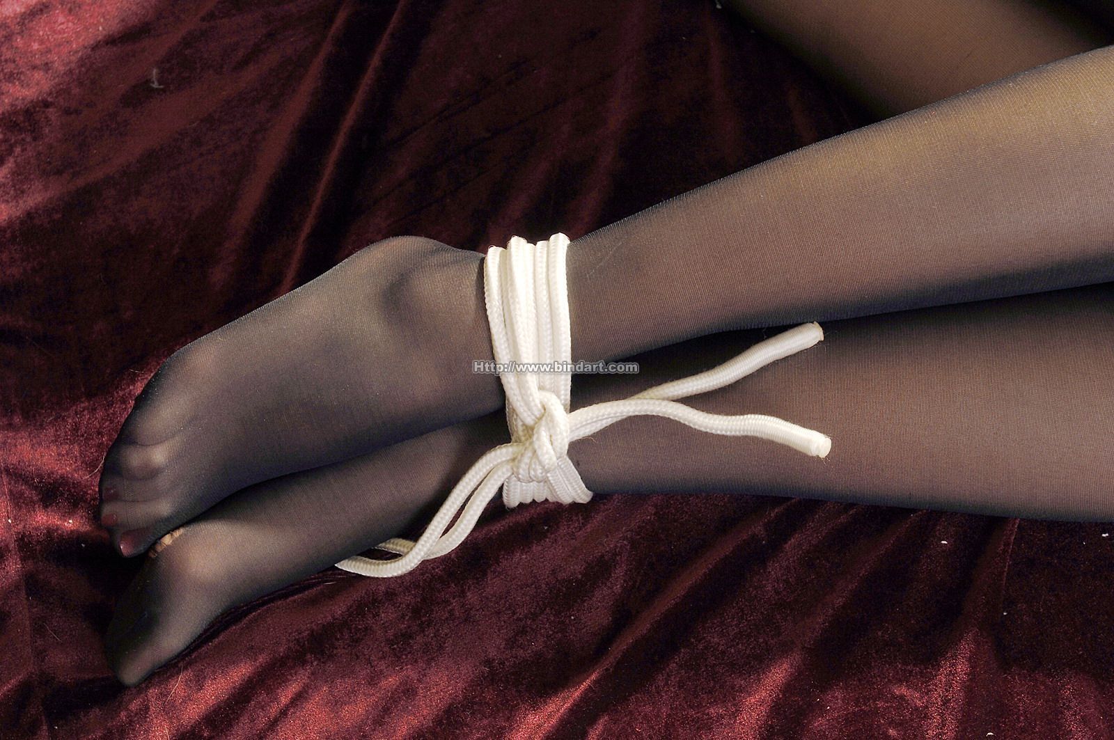 [Bindart美束] 捆绑性感美女2006-12-06