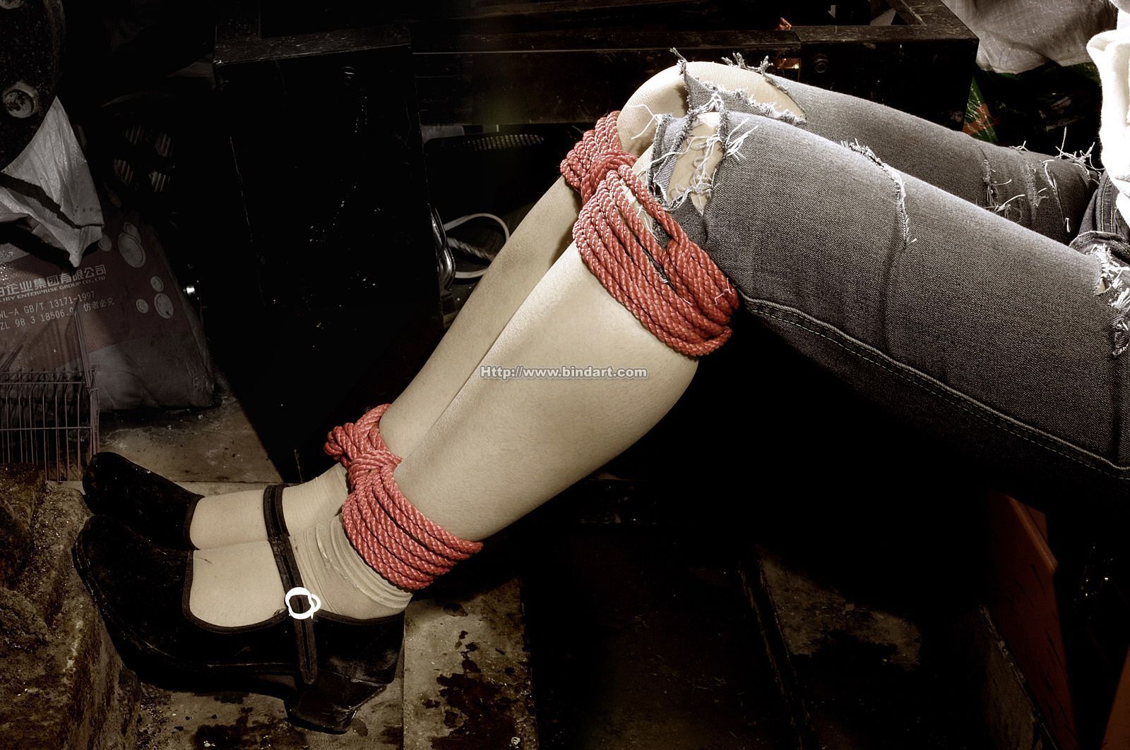 [Bindart美束] 捆绑性感美女 2006-12-13