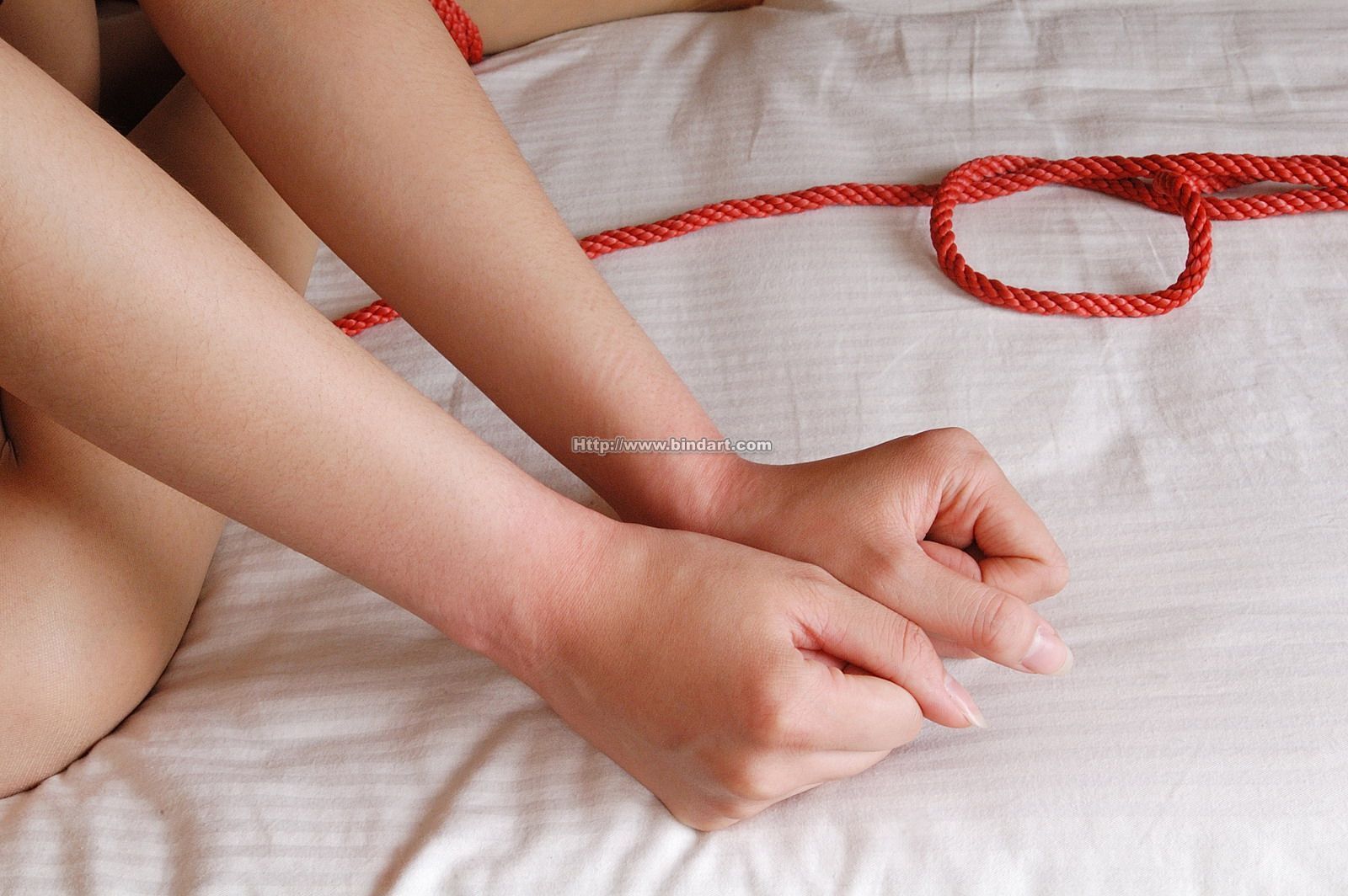 [Bindart美束] 2007-06-20 束缚的诱惑