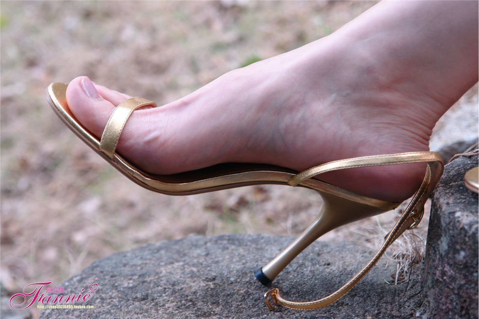 Fannie芬妮高清原图之金色的旋律户外篇一（原图版）NO.225