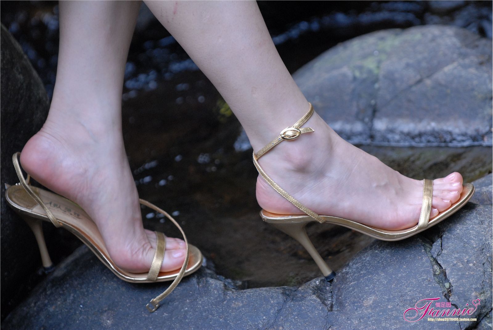 Fannie芬妮高清原图之金色的旋律足香氤氲满山谷（原图版）NO.230