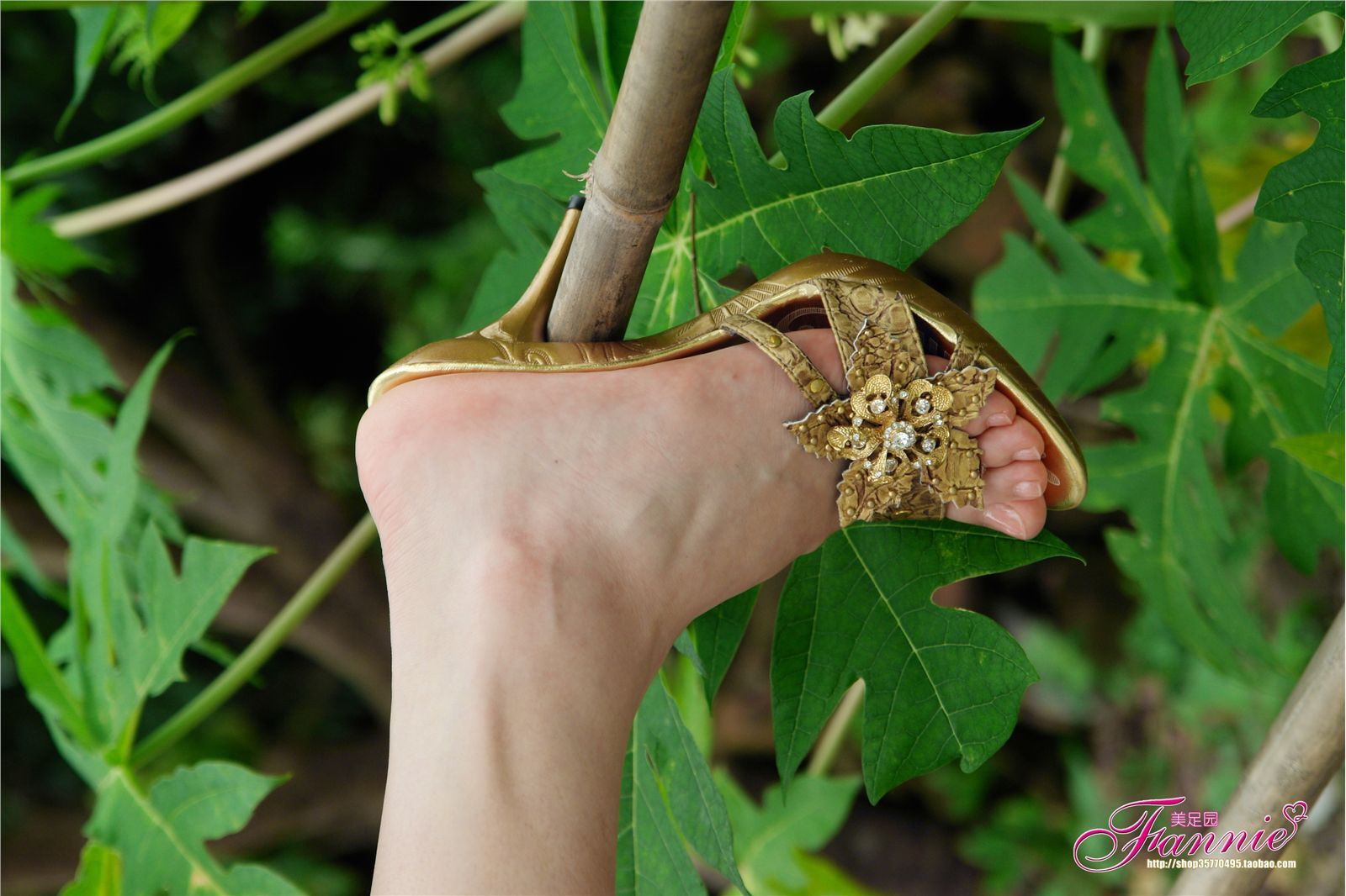 Fannie芬妮高清原图之金色凉拖NO.231