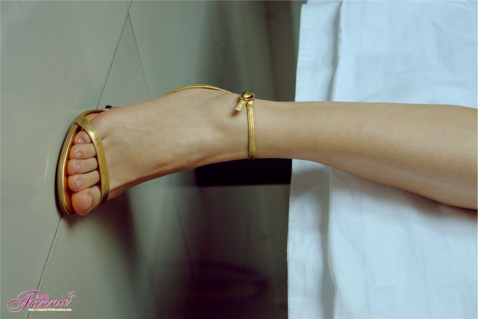 Fannie芬妮高清原图之金色旋律- 醺香NO.232