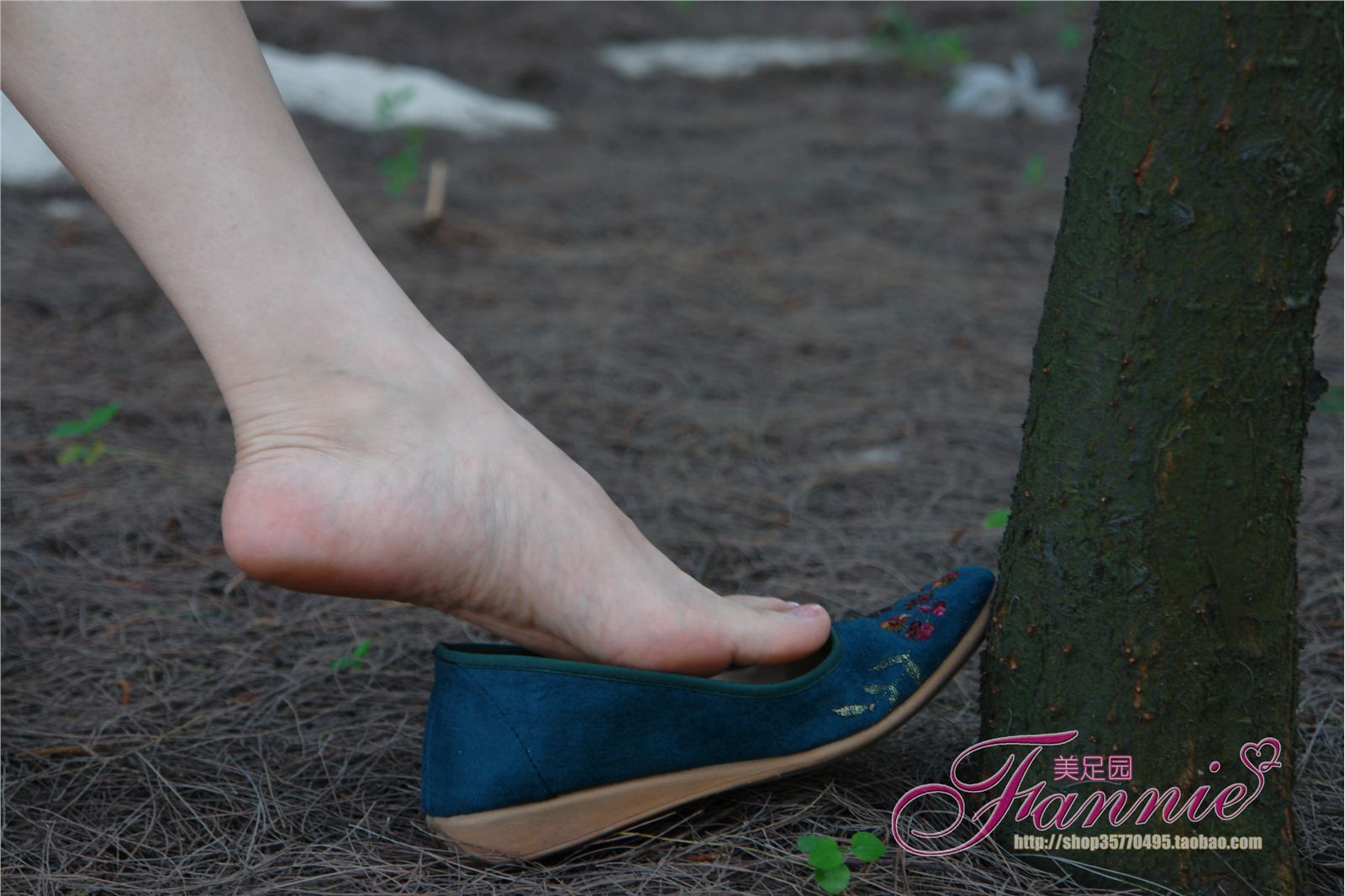 Fannie芬妮高清原图之金色旋律海边恬静听松涛NO.233