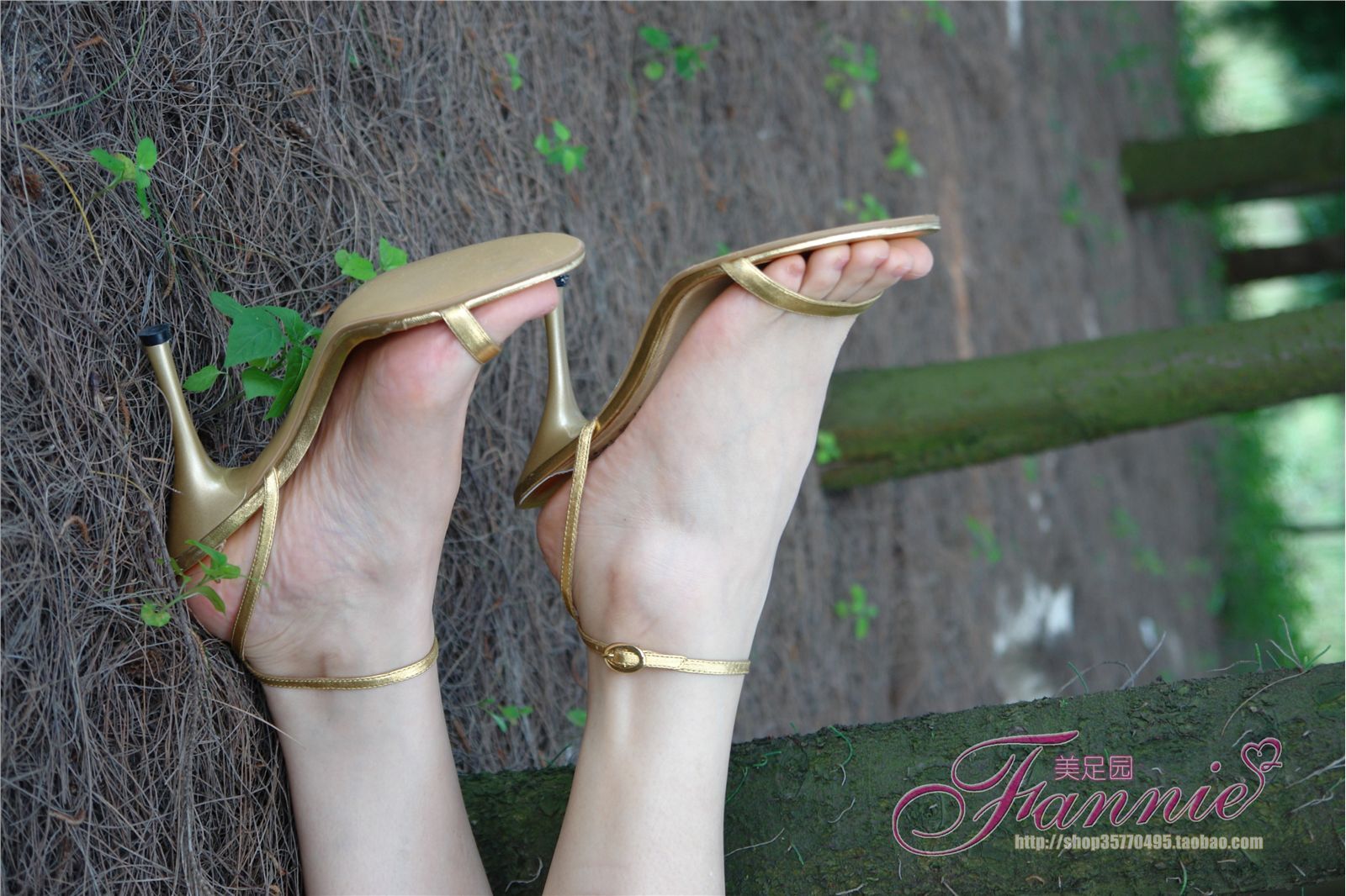 Fannie芬妮高清原图之金色旋律海边恬静听松涛NO.233