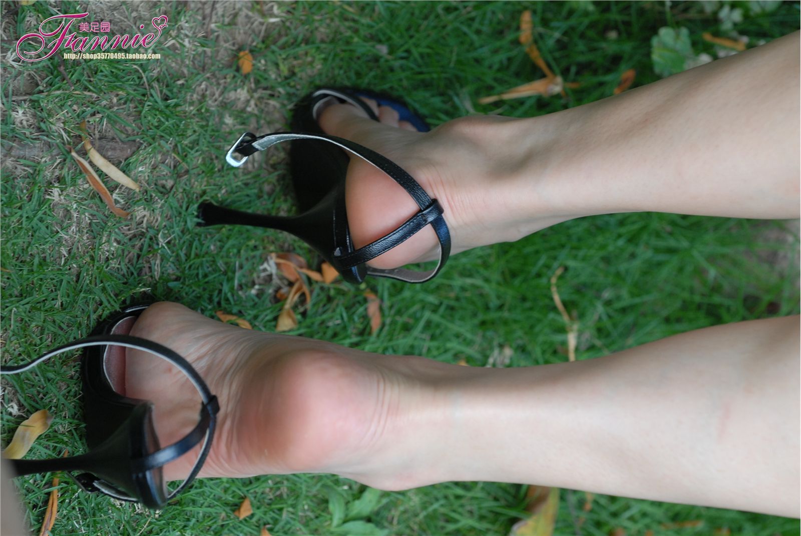 绿草如茵的家园 。芳香盈路 [芬妮 fannie]