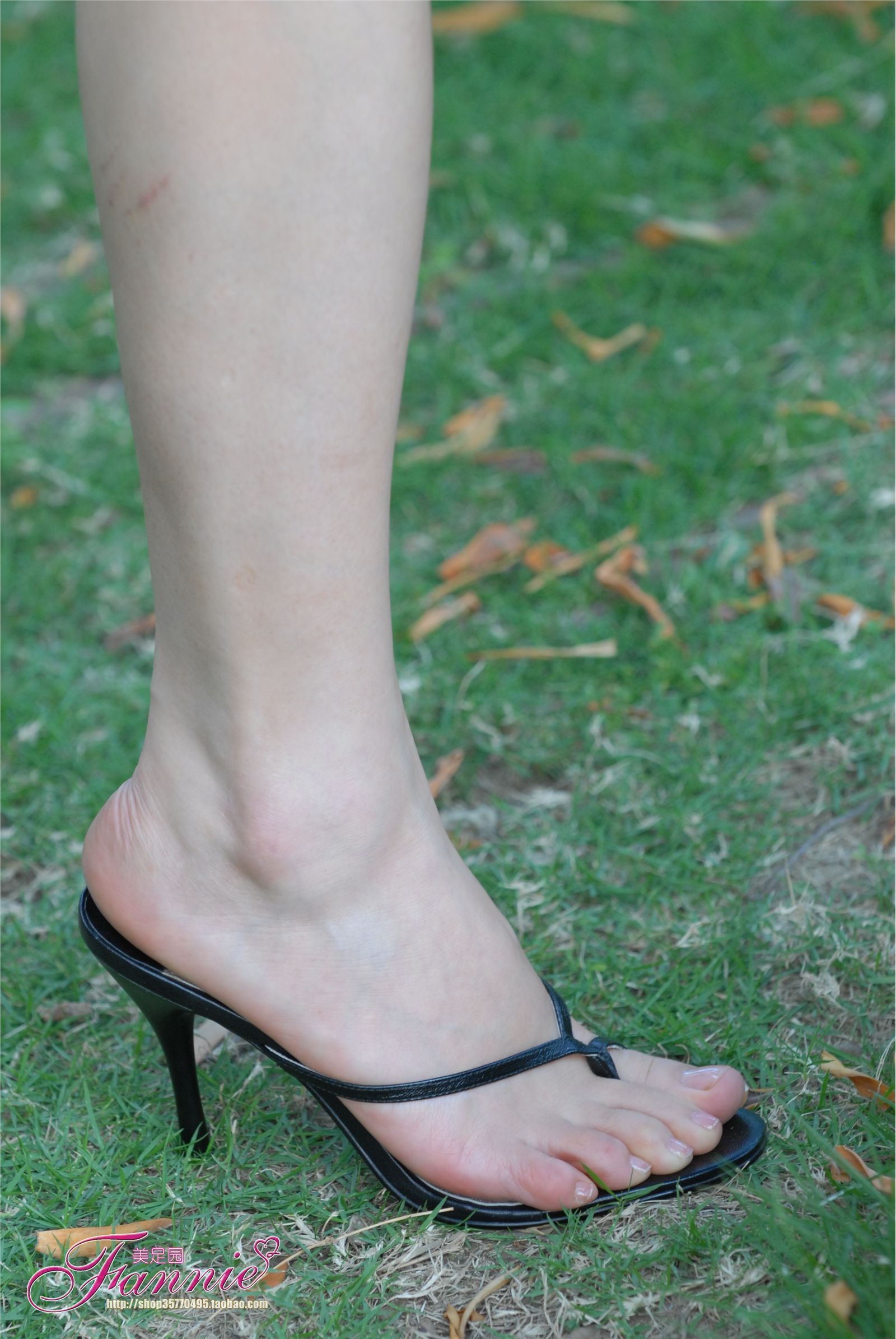 绿草如茵的家园 。芳香盈路 [芬妮 fannie]