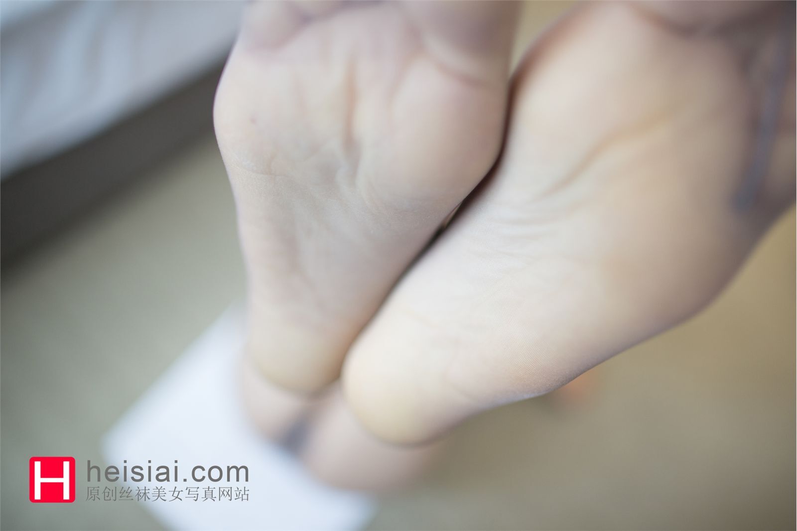 HeiSiAi黑丝爱 2014.08.26 NO.021