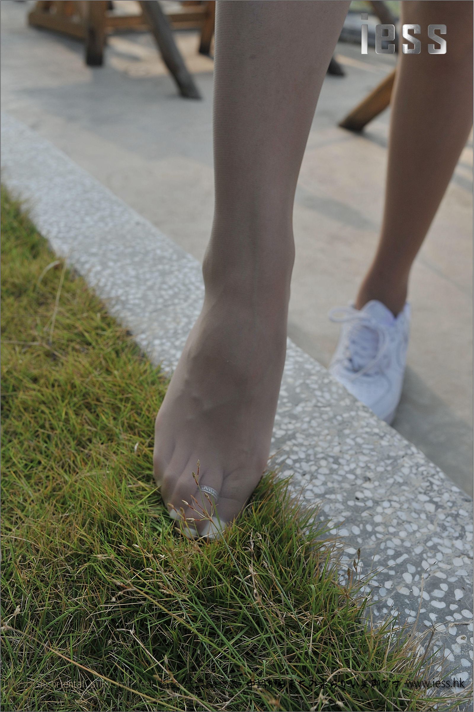 [IESS异思趣向]2016.12.03 NO.037 SASA