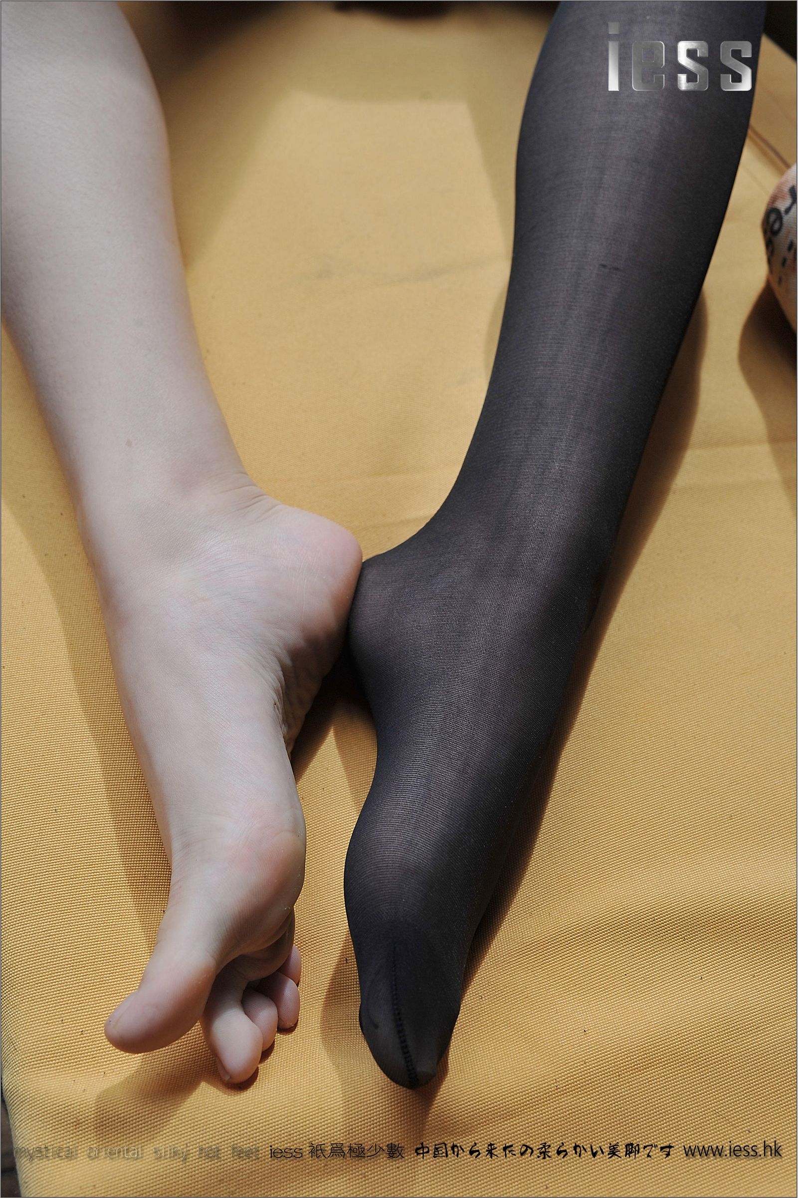 [IESS异思趣向]2016.12.29 NO.047 小夕