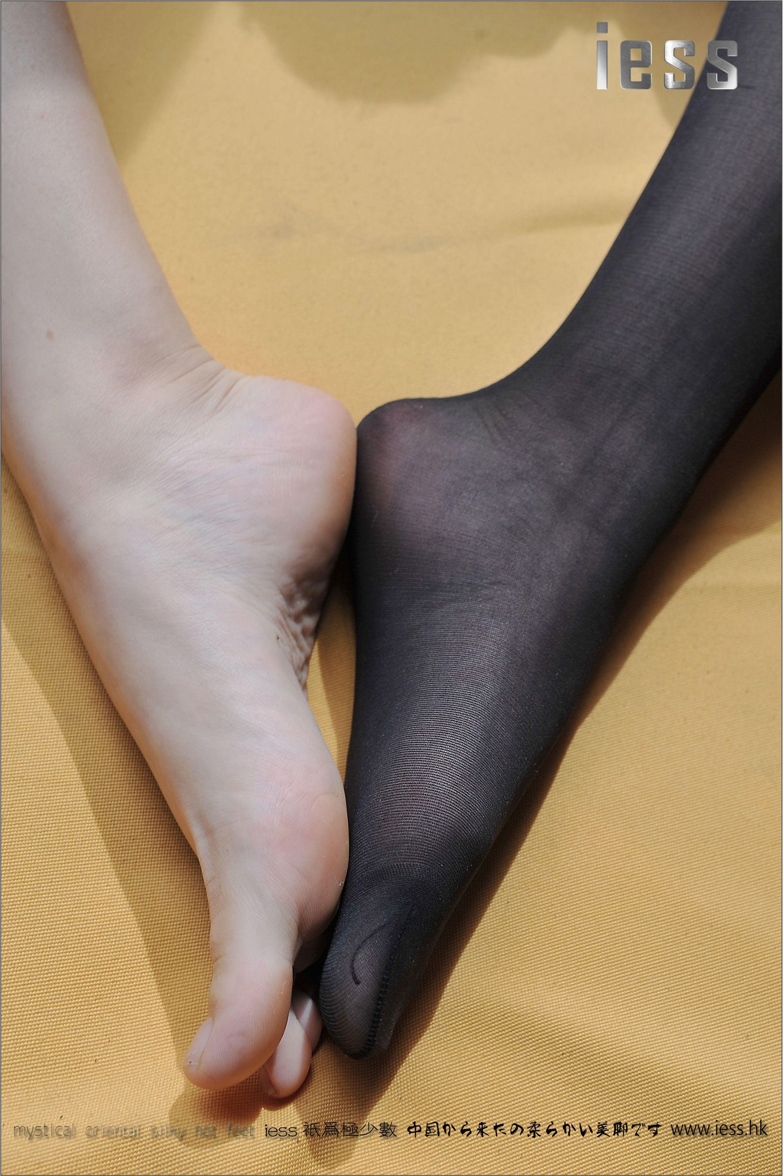 [IESS异思趣向]2016.12.29 NO.047 小夕