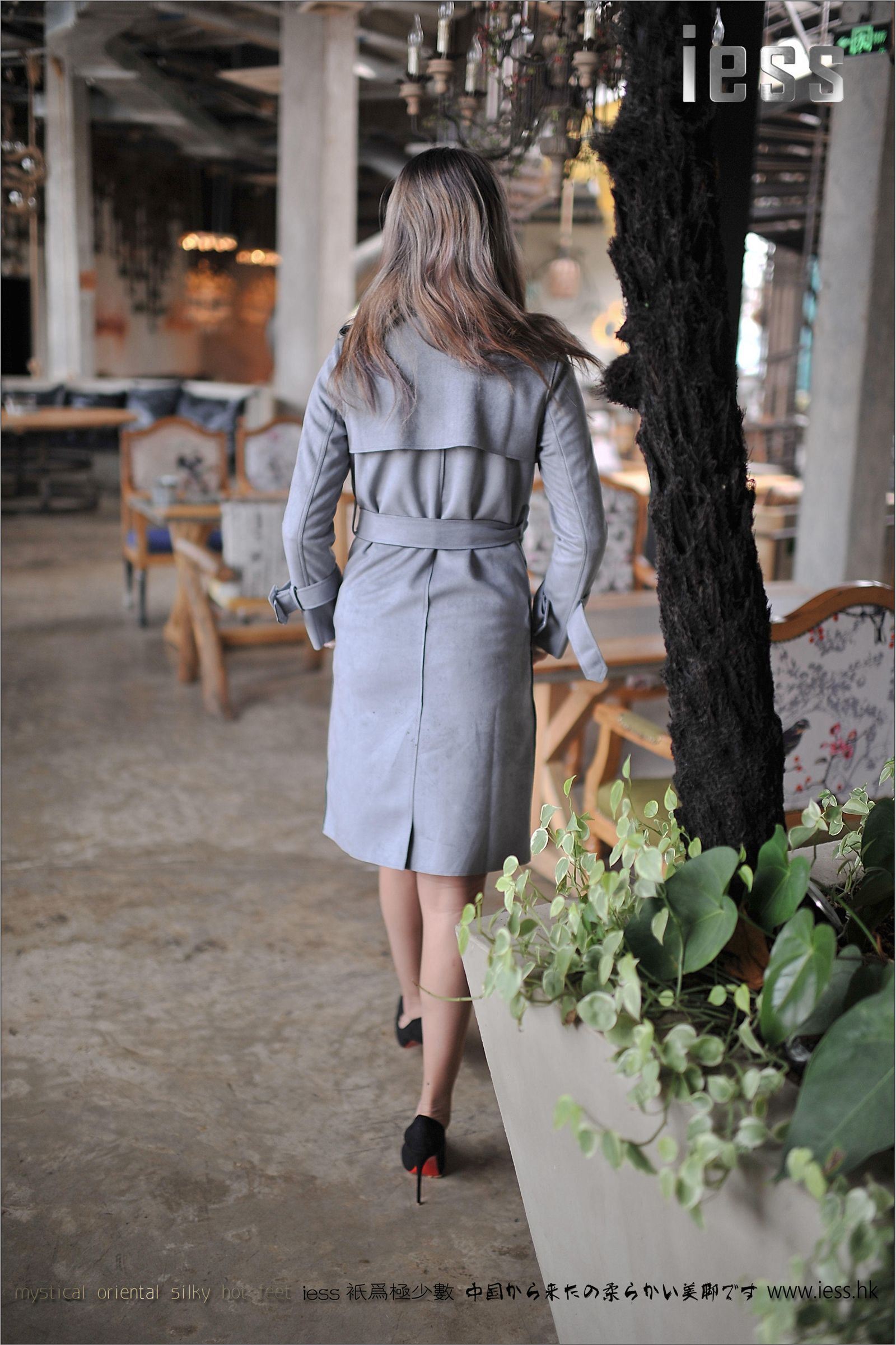 [IESS异思趣向]2017.01.02 NO.049 羽