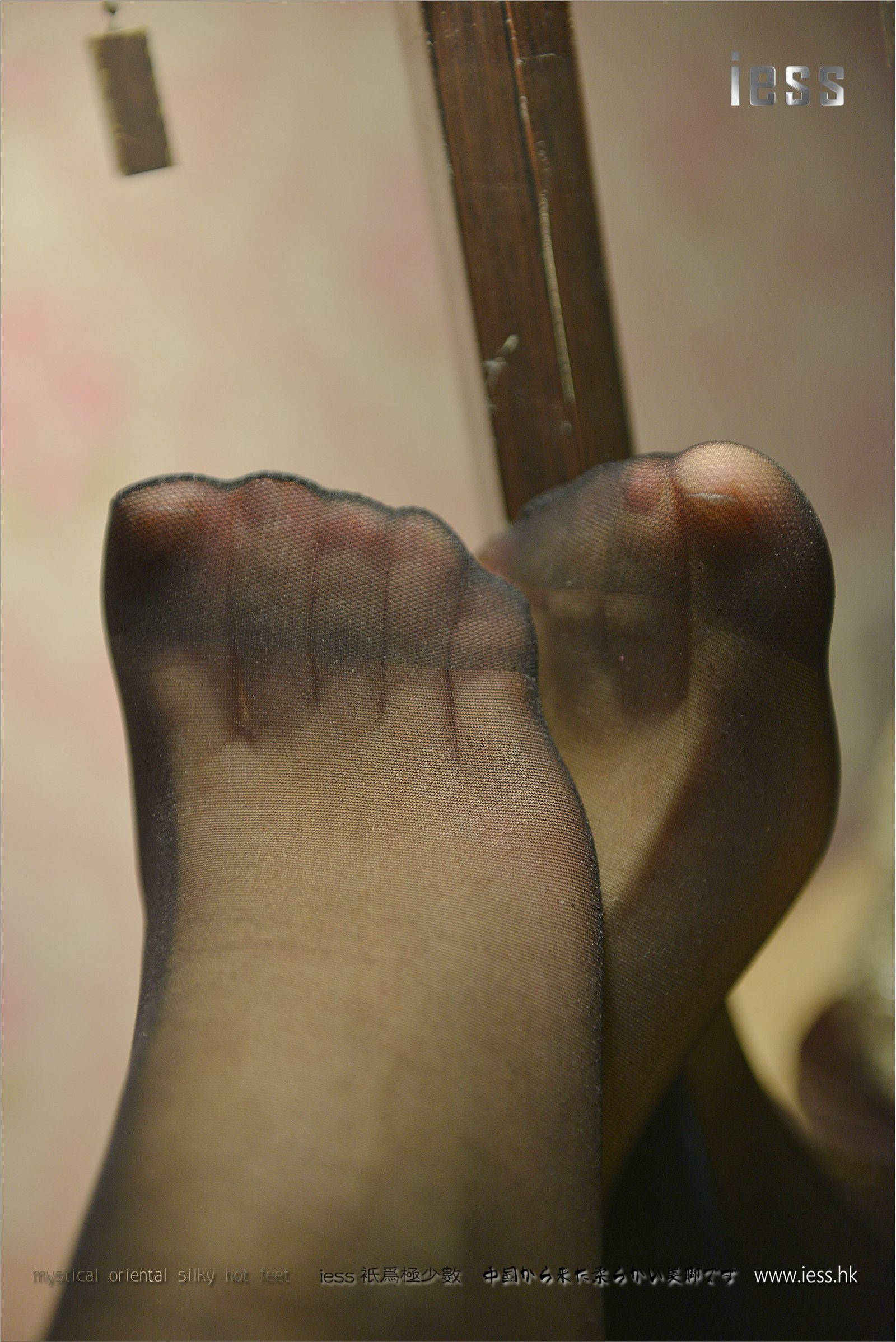 [IESS异思趣向]2017.01.24 NO.063 小夕