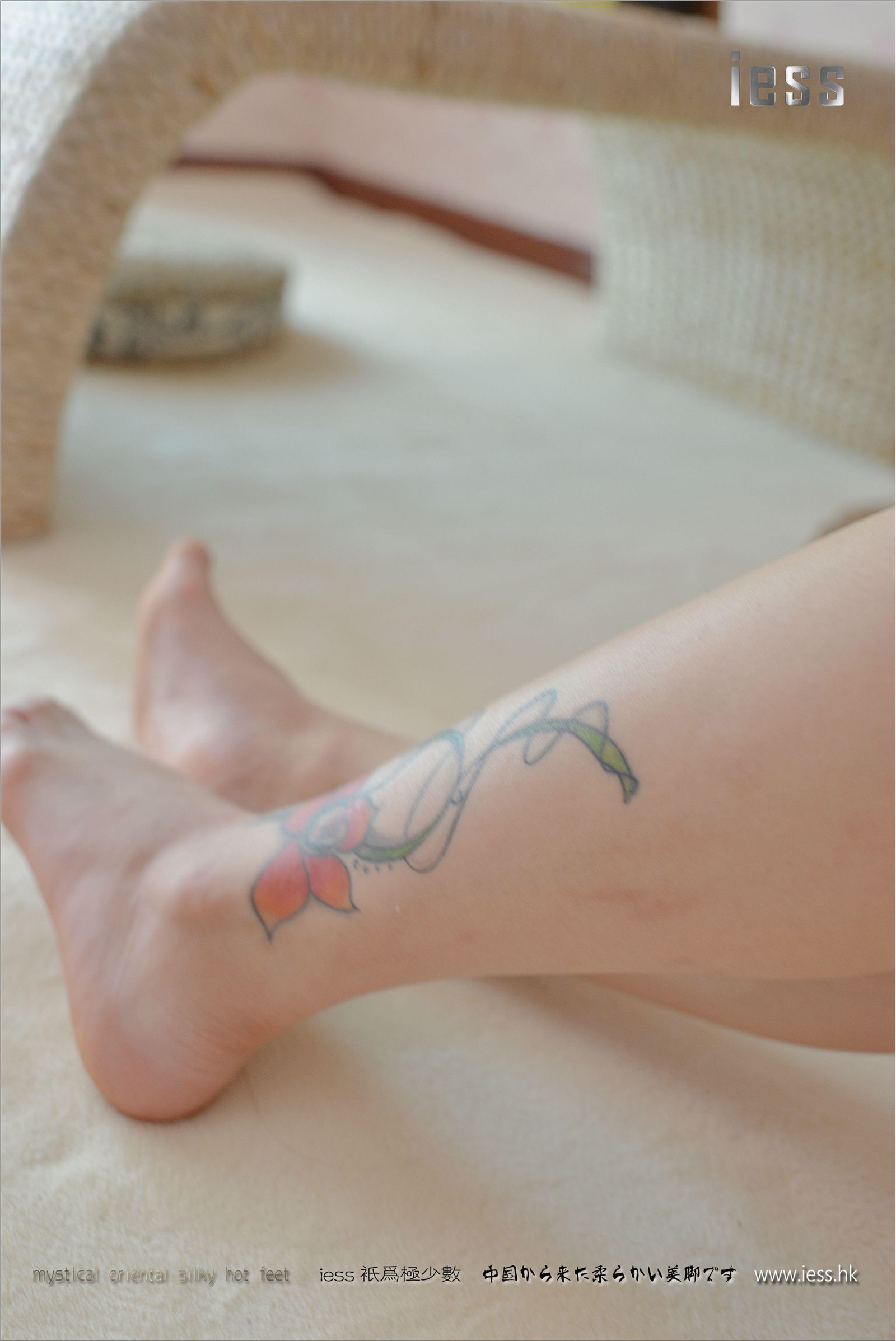 [IESS异思趣向]2017.01.27 NO.065 优优