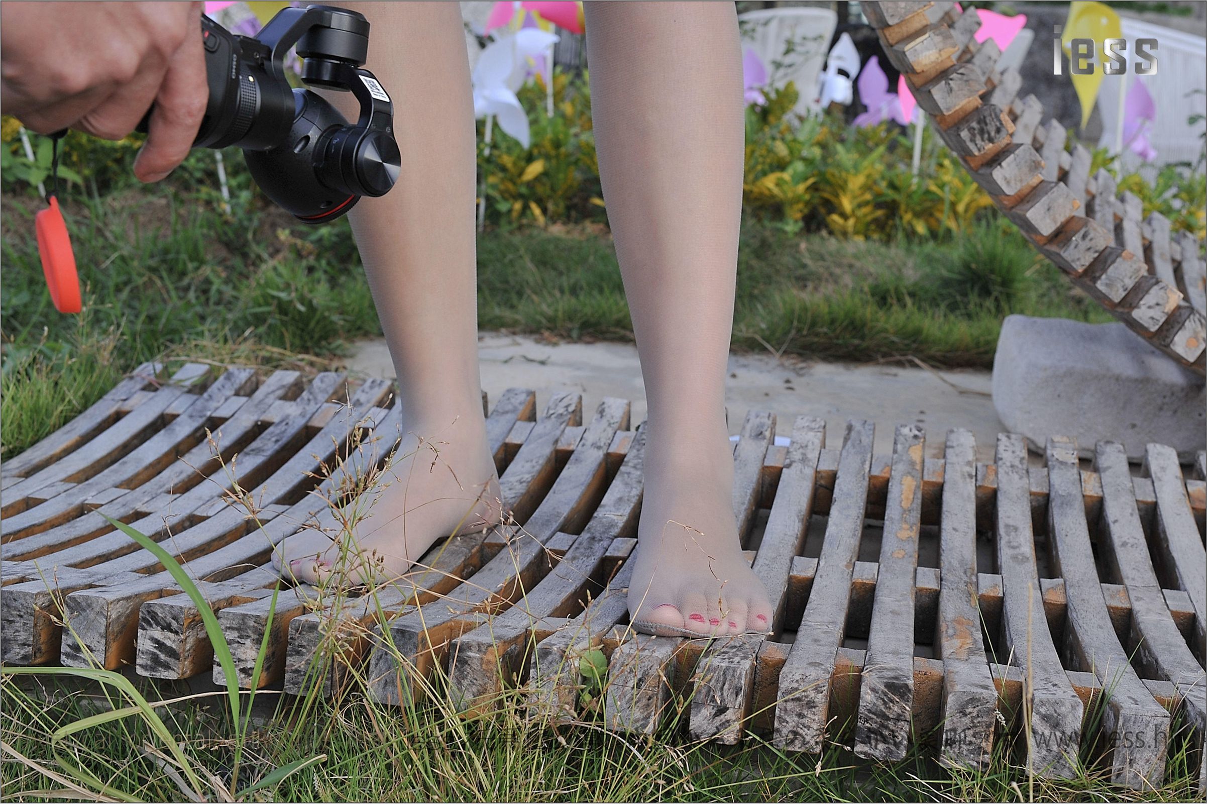 [IESS异思趣向]2017.01.29 NO.067 洋洋