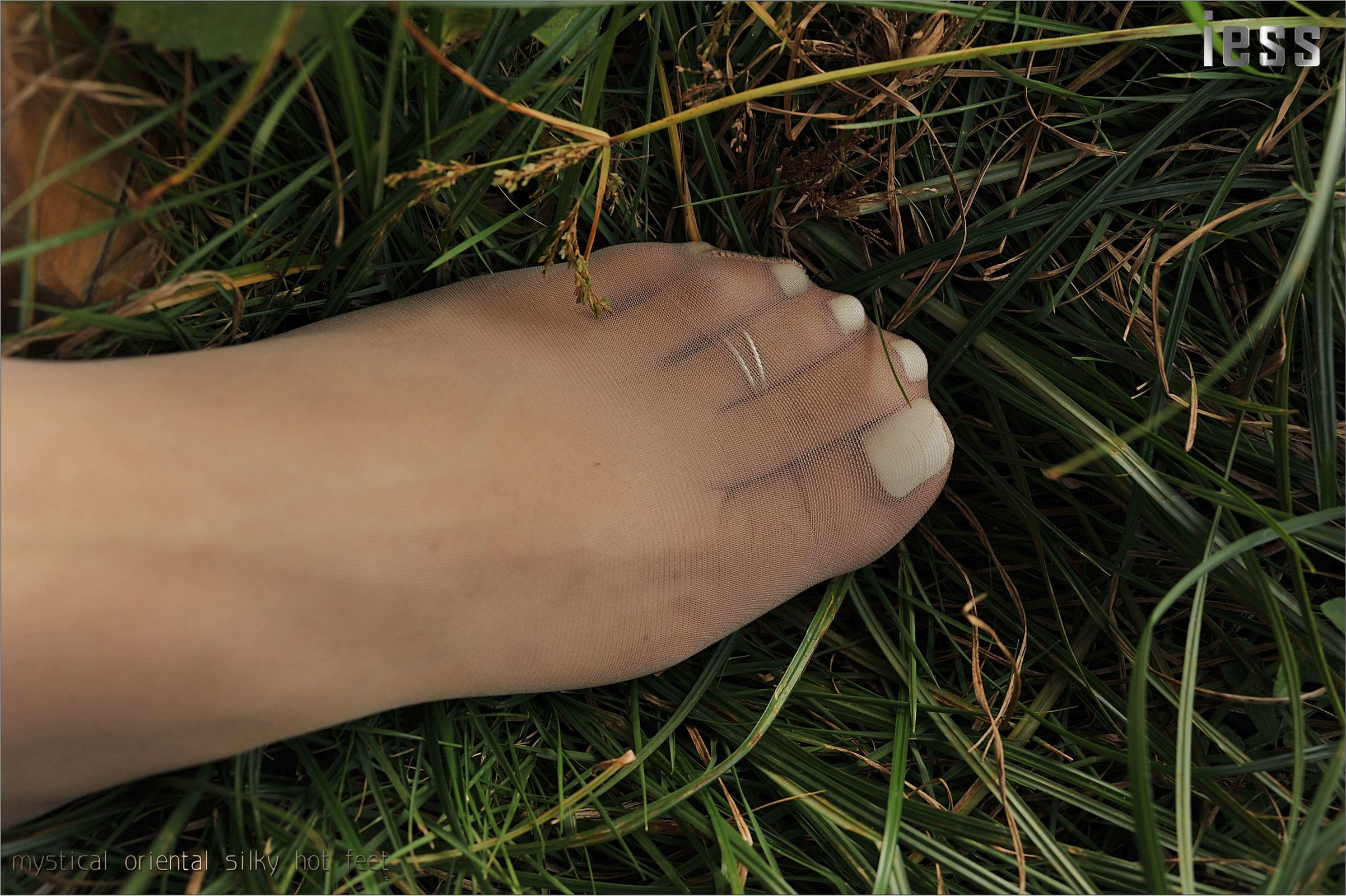 [IESS异思趣向] 2016.10.13 丝足便当016《阳光下的罂粟花》SASA