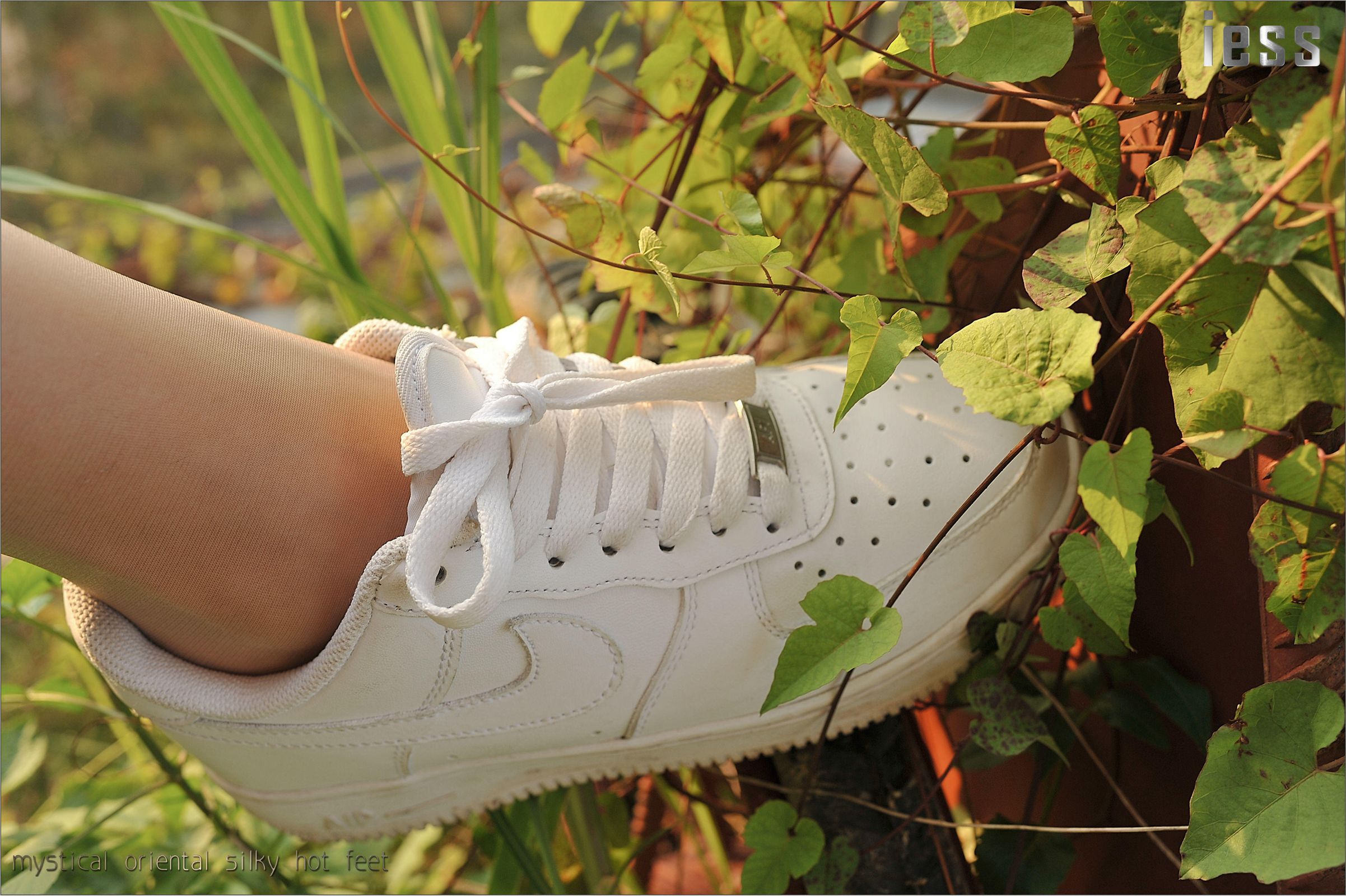 [IESS异思趣向] 2016.10.13 丝足便当016《阳光下的罂粟花》SASA