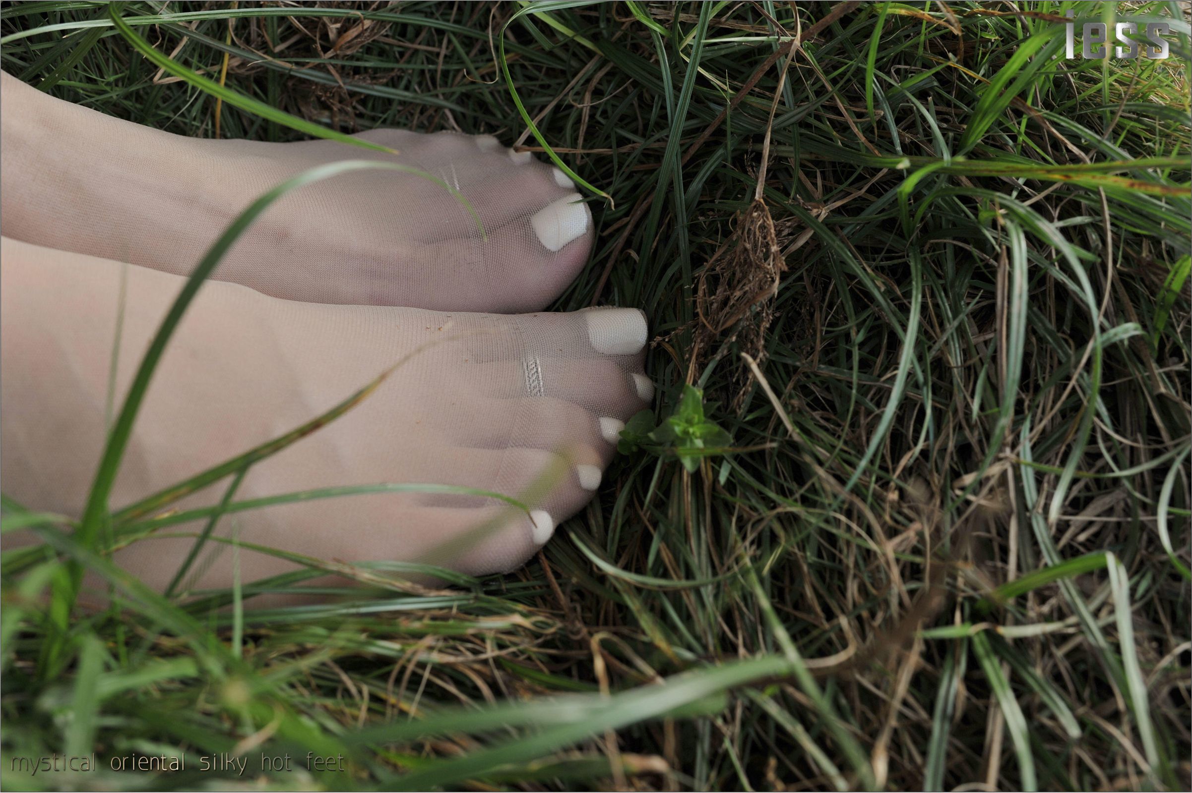 [IESS异思趣向] 2016.10.13 丝足便当016《阳光下的罂粟花》SASA