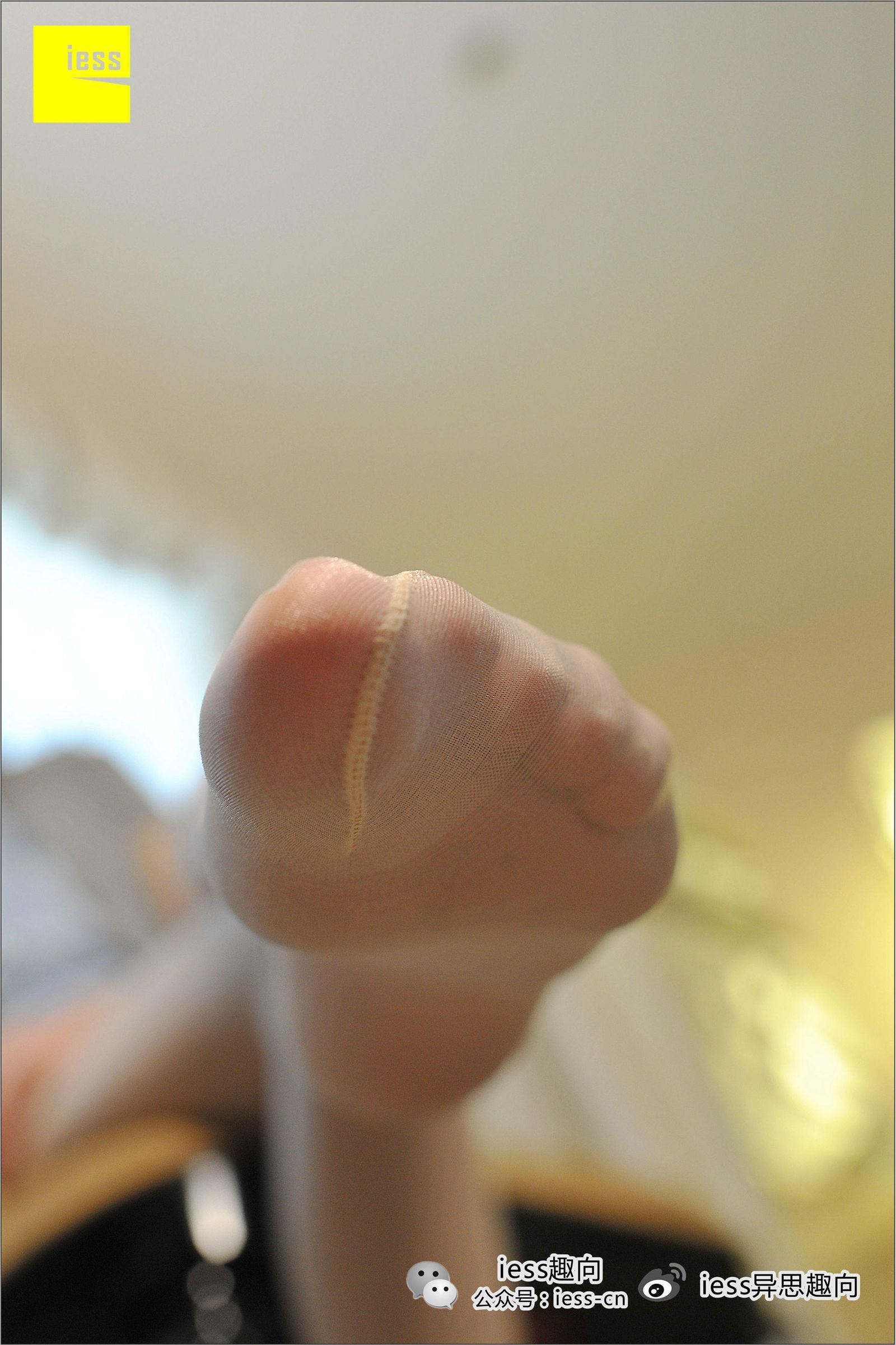 [IESS异思趣向] 2016.10.17 No.017《珠光肉色长筒丝袜》BING