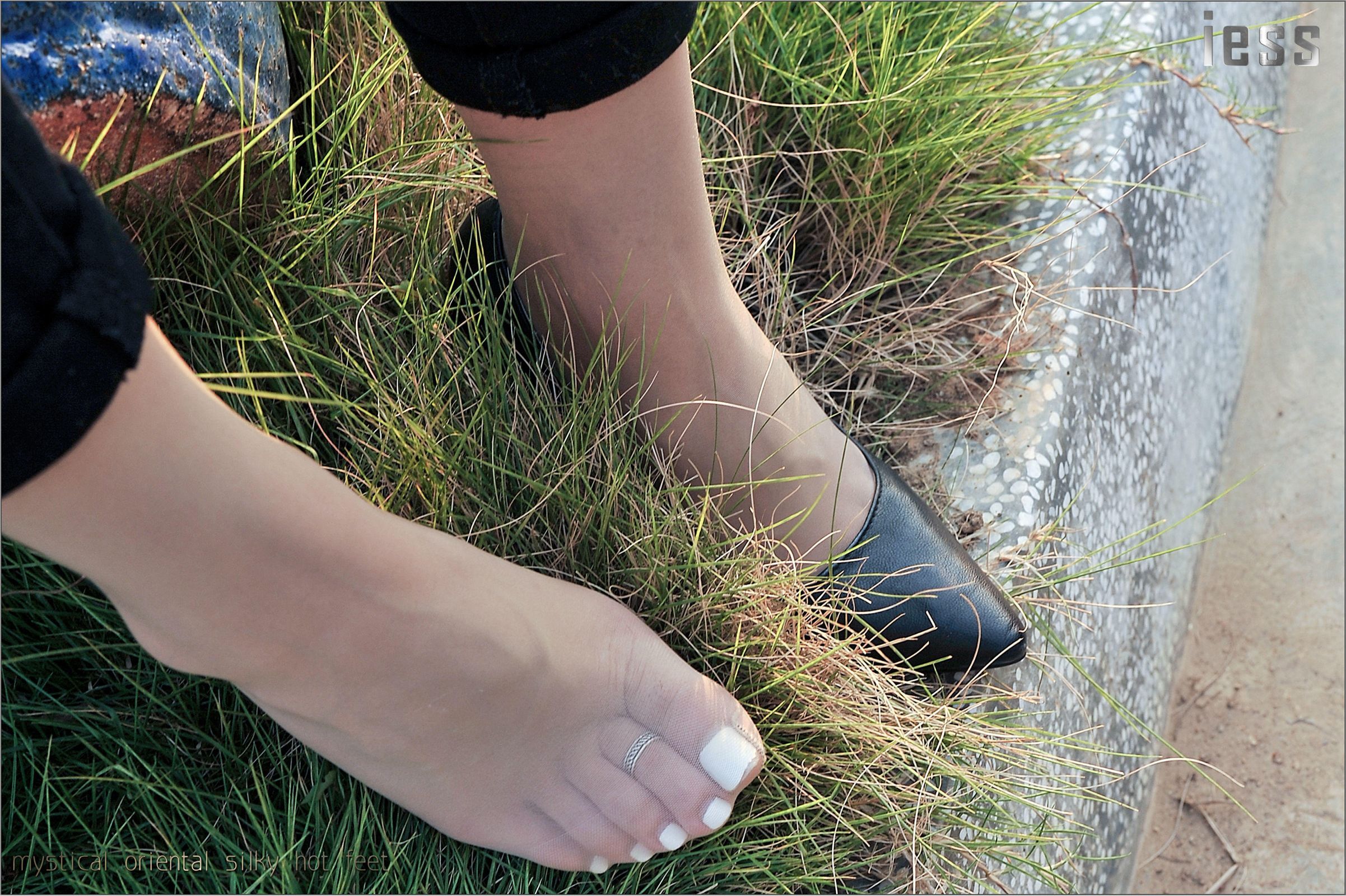 [IESS异思趣向] 2016.10.19 No.018《SASA与ES6(超薄肉丝)》