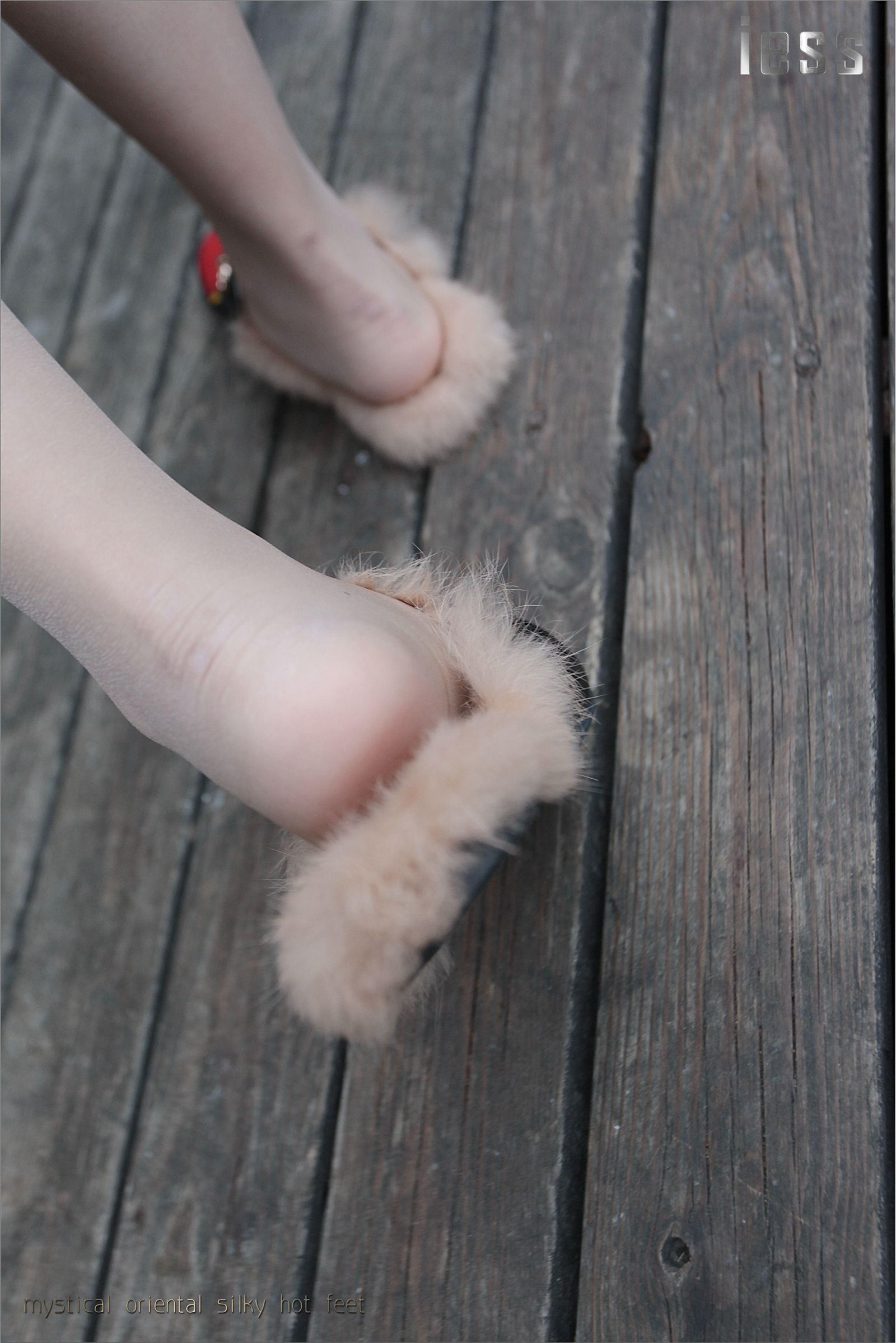 [IESS异思趣向] 2016.11.25 No.035《皮拖+超薄丝》YY