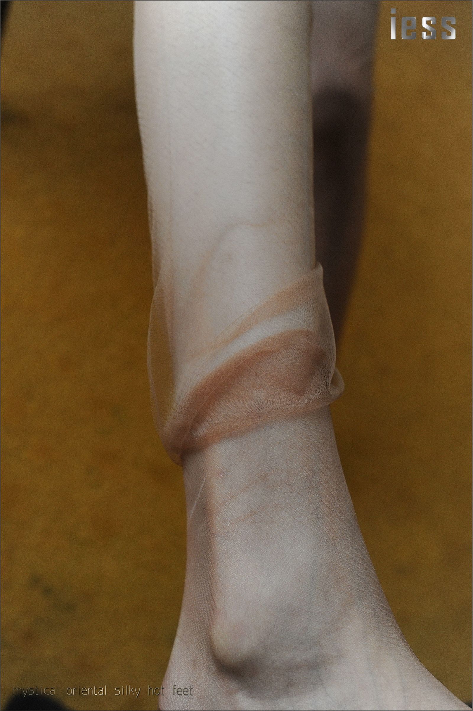 [IESS异思趣向] 2016.11.01 No027《ES8复古无弹力丝袜细节秀I》含菲