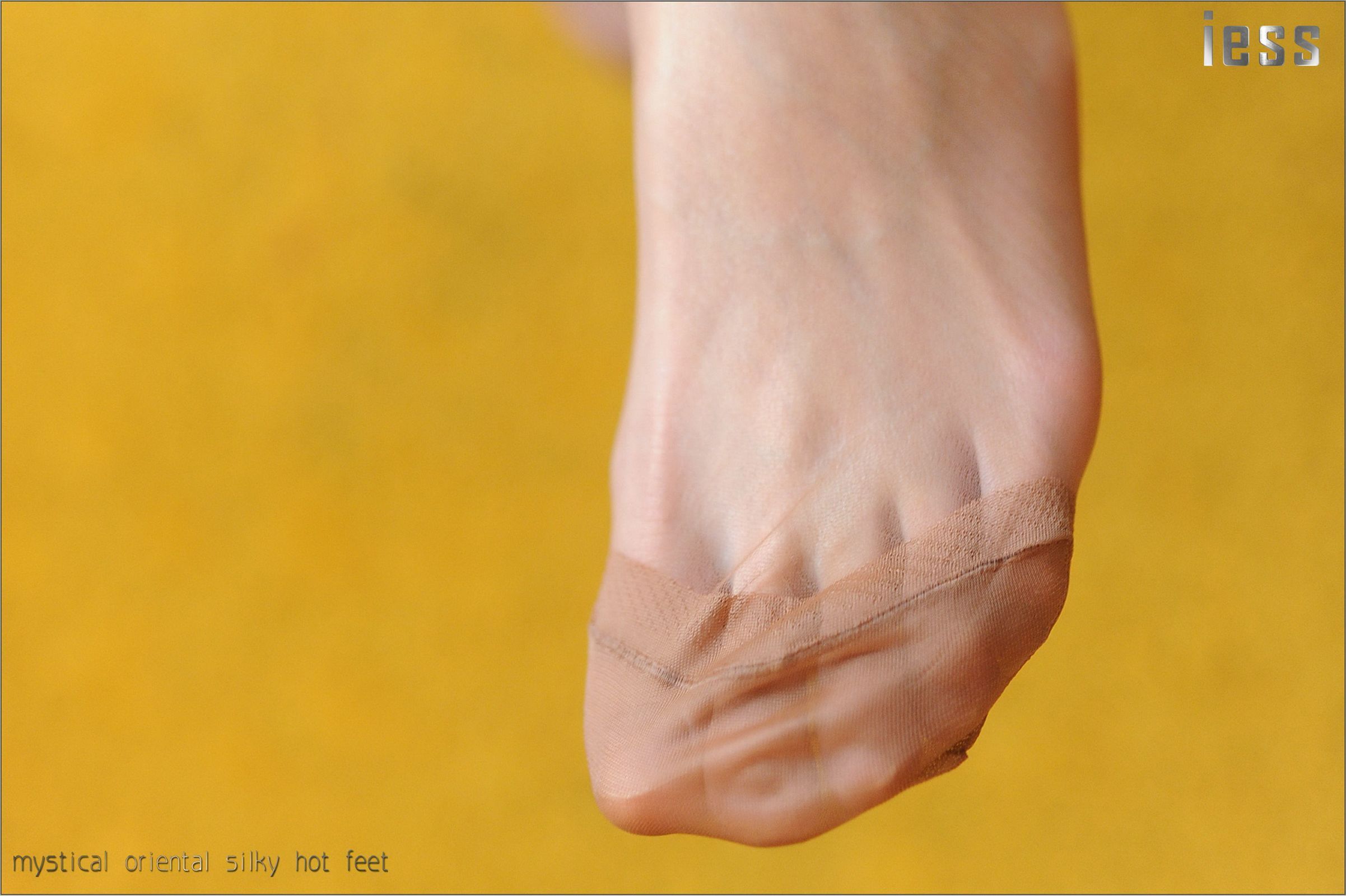 [IESS异思趣向] 2016.11.01 No027《ES8复古无弹力丝袜细节秀I》含菲
