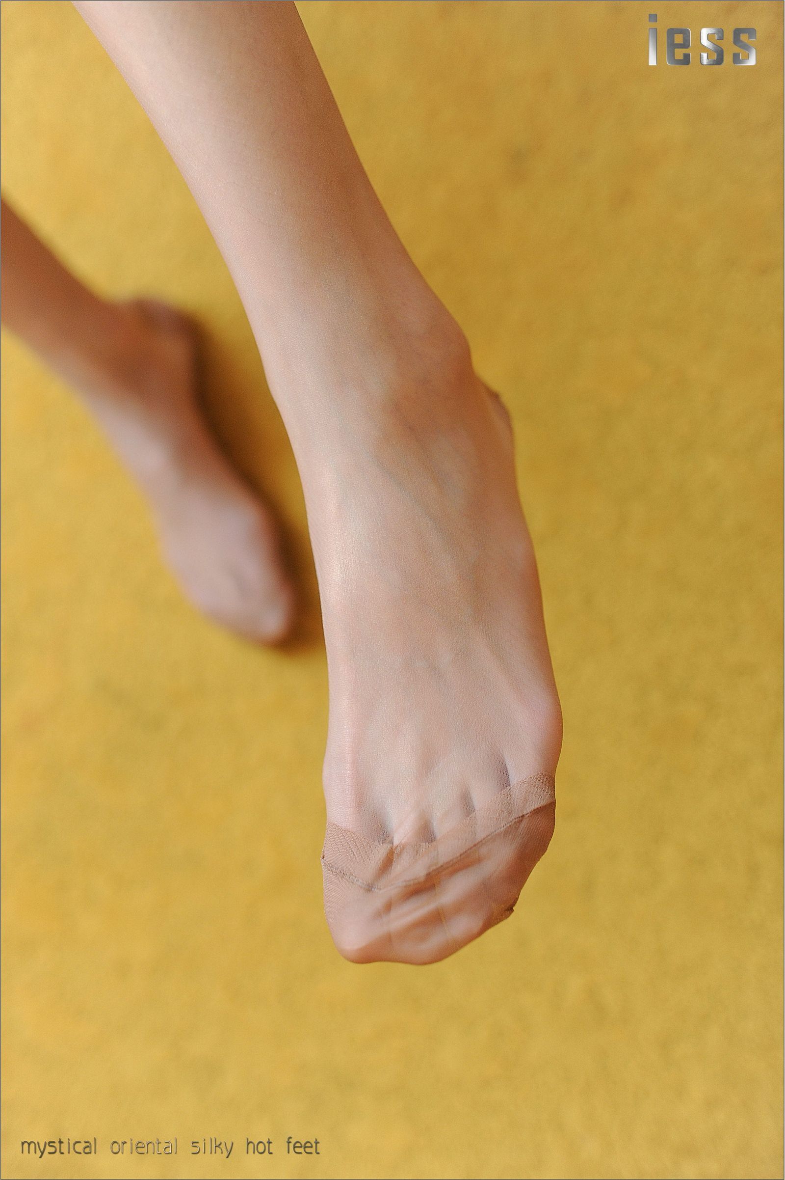 [IESS异思趣向] 2016.11.01 No027《ES8复古无弹力丝袜细节秀I》含菲