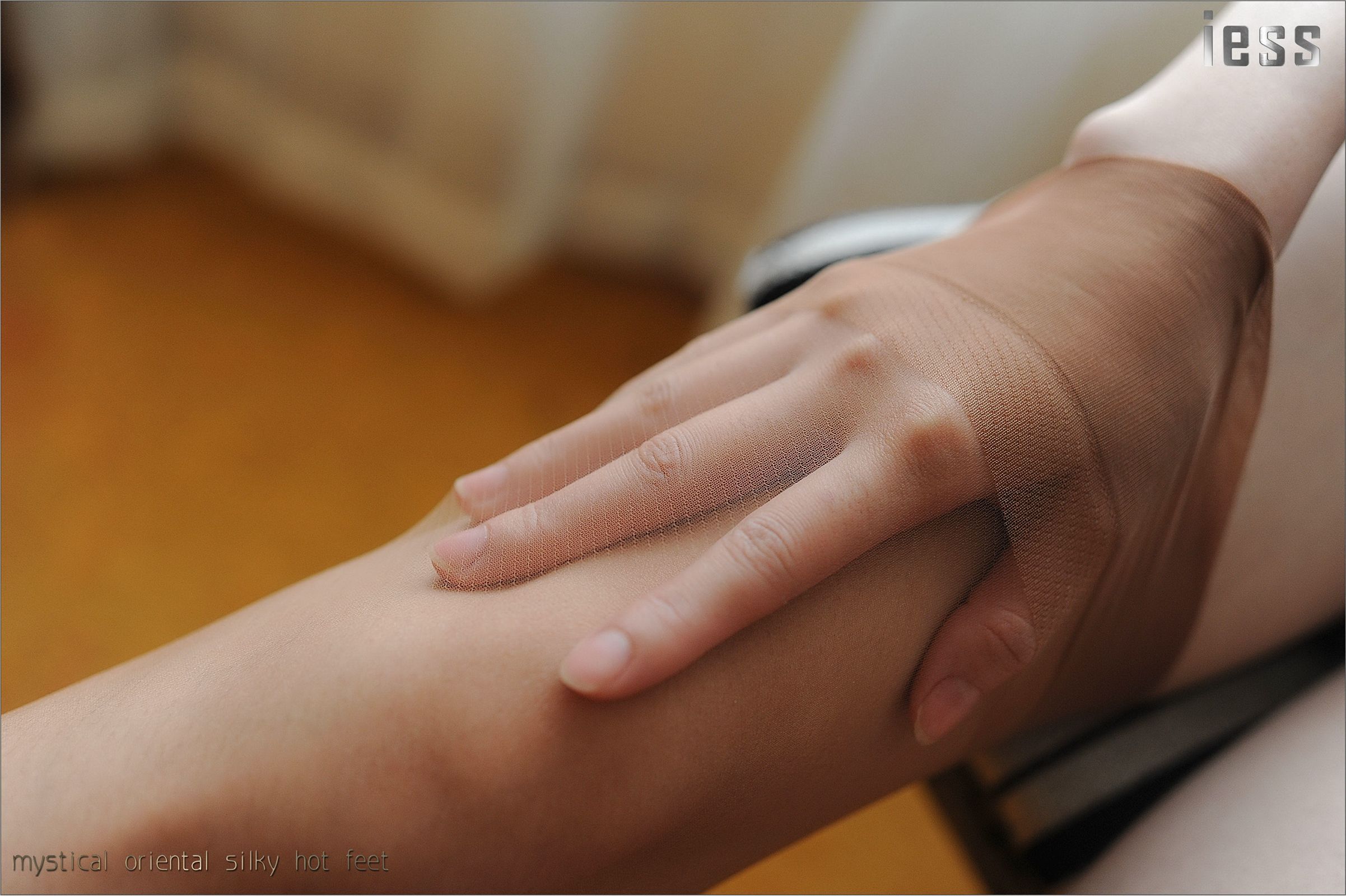 [IESS异思趣向] 2016.11.01 No027《ES8复古无弹力丝袜细节秀I》含菲