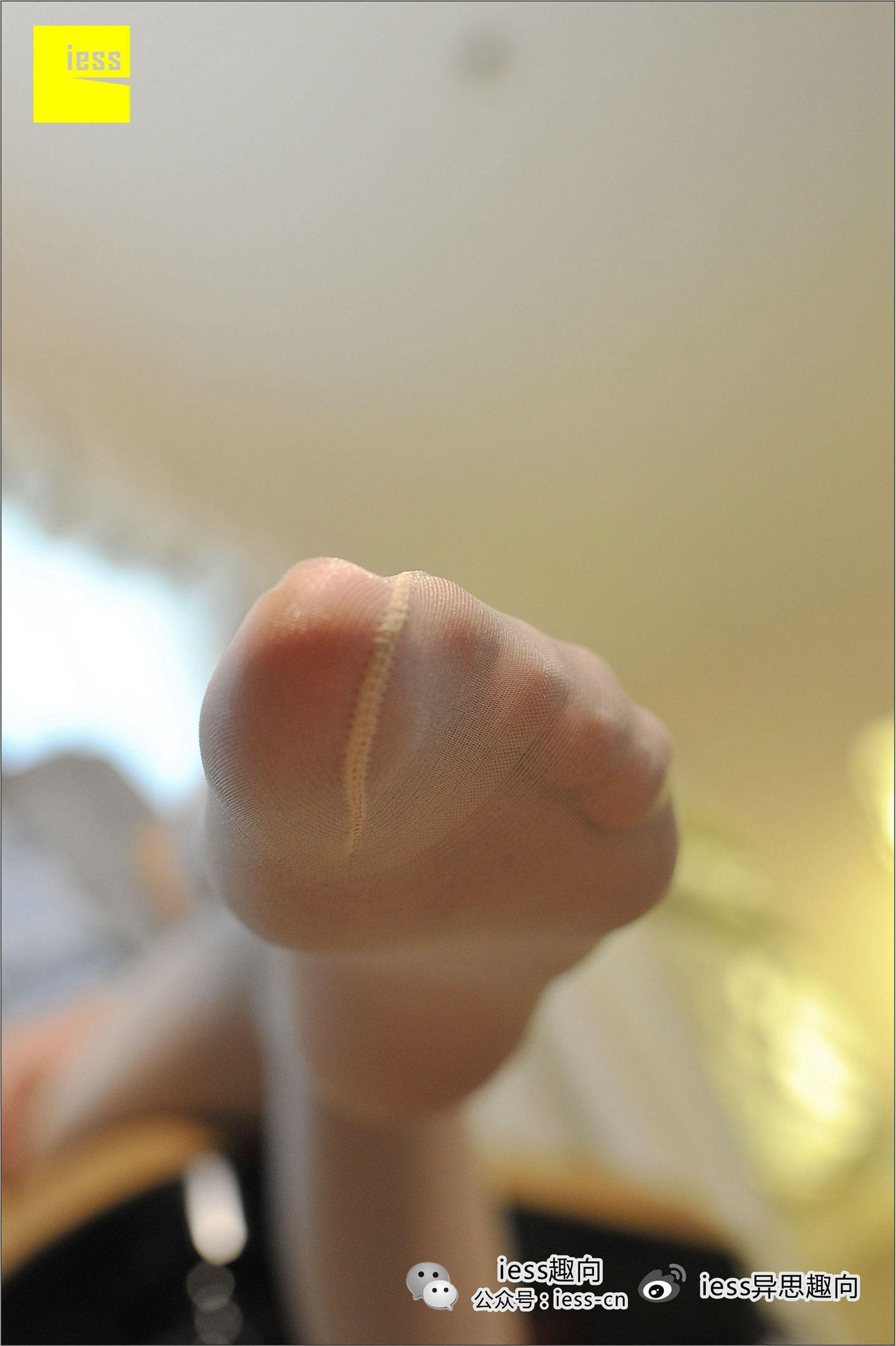 [IESS异思趣向] BING 珠光肉色长筒丝袜