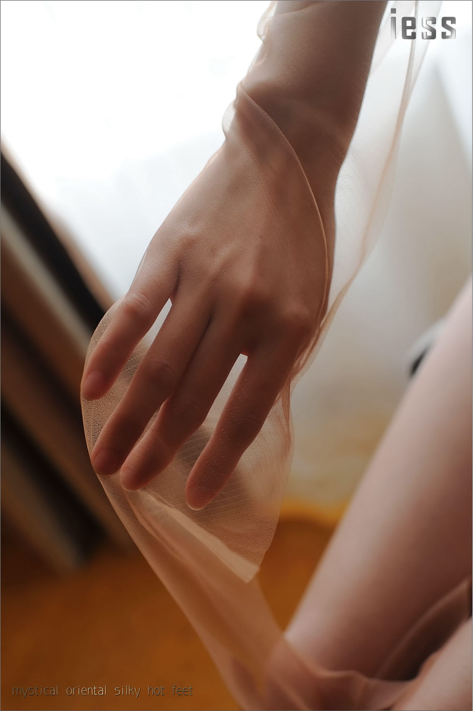 [IESS异思趣向]系列 Model 含菲