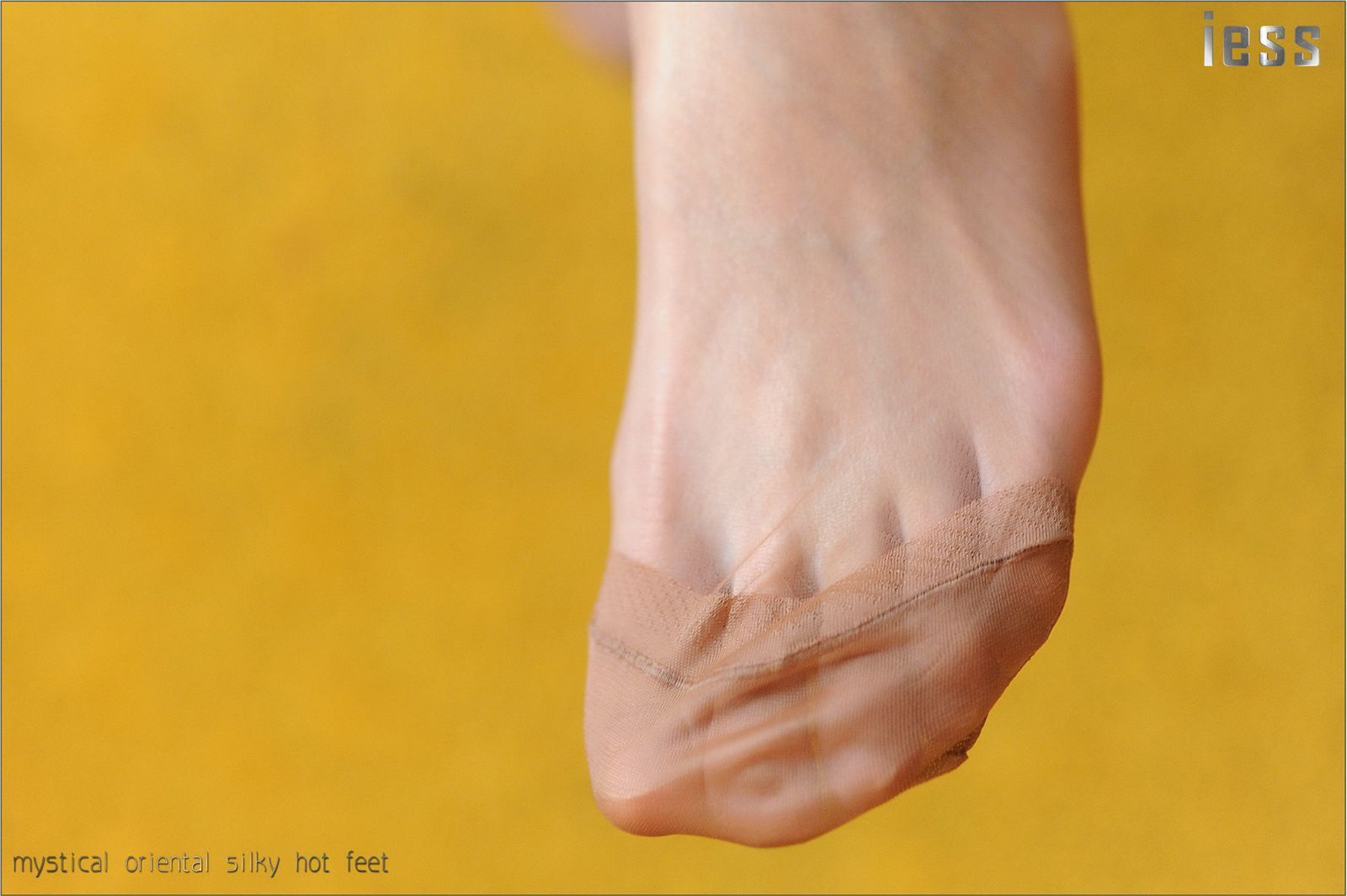 [IESS异思趣向]系列 Model 含菲