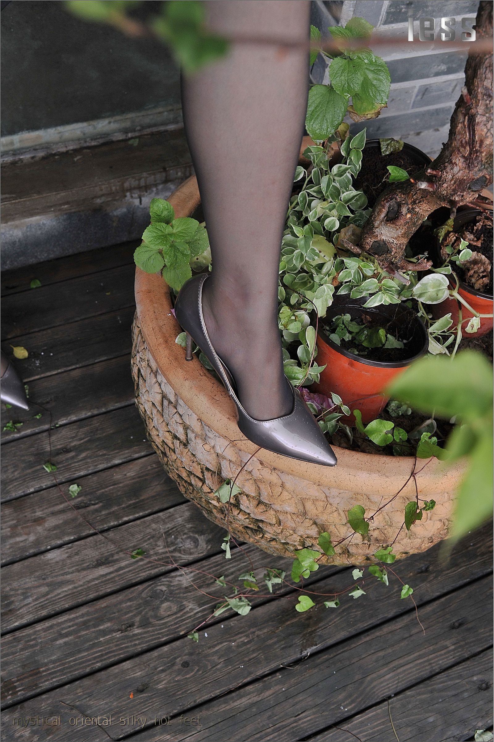 [IESS异思趣向]系列 Model 小雪