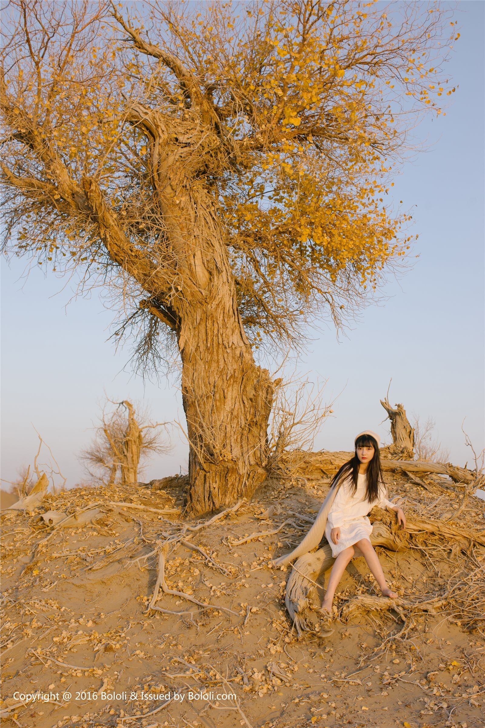 [Kimoe]2016.11.29 NO.009 之应 沙漠之应