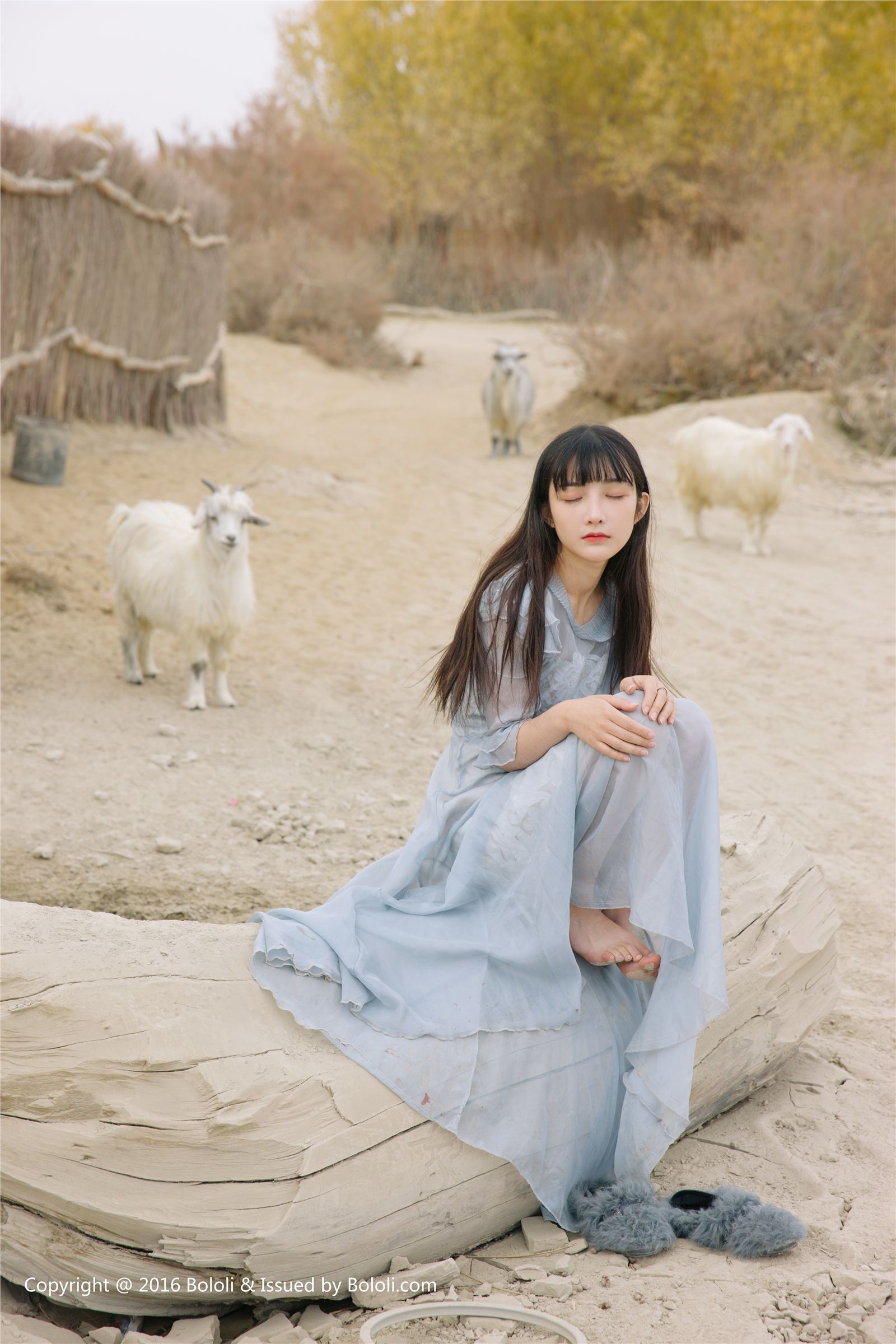 [Kimoe]2016.12.26 Vol.011 之应 沙漠之旅